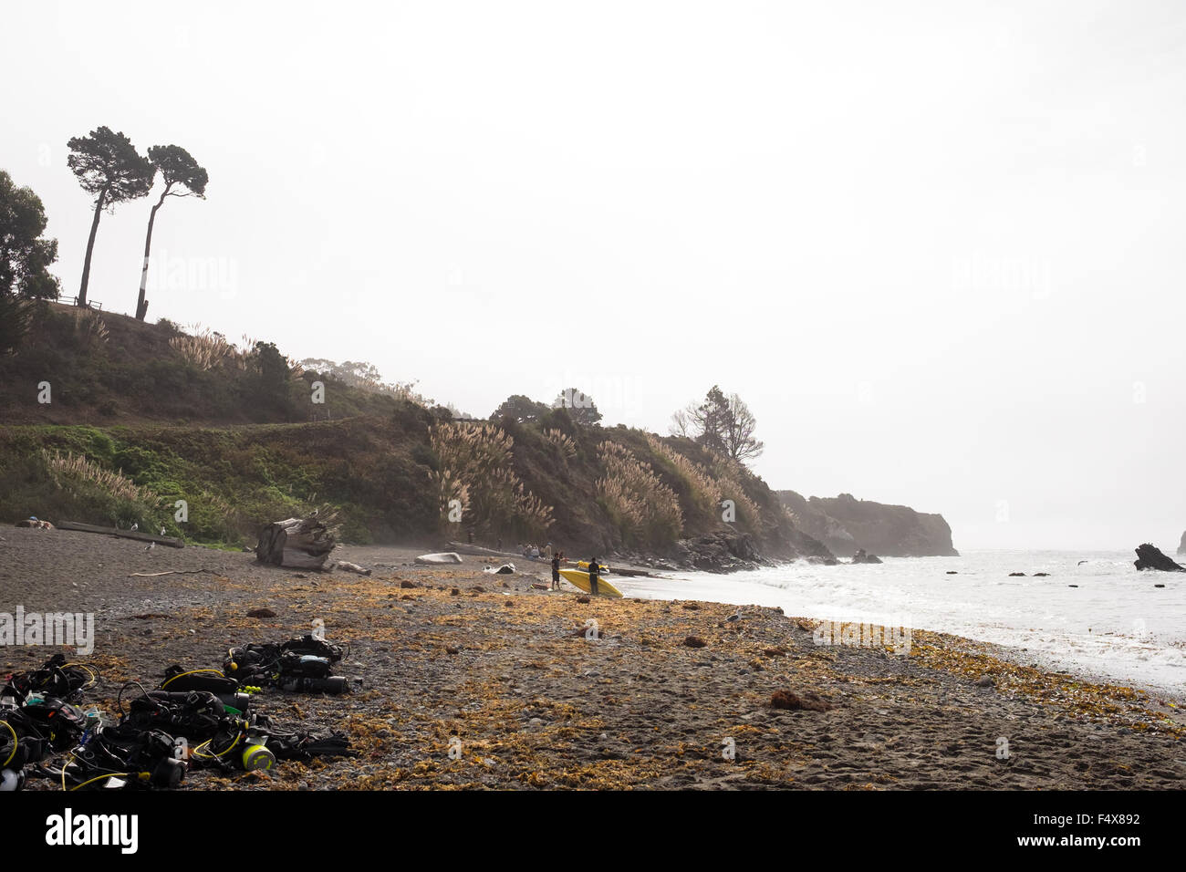 Taucher, die Vorbereitung für einen Tauchgang entlang der Küste Mendocino in Kalifornien. Stockfoto