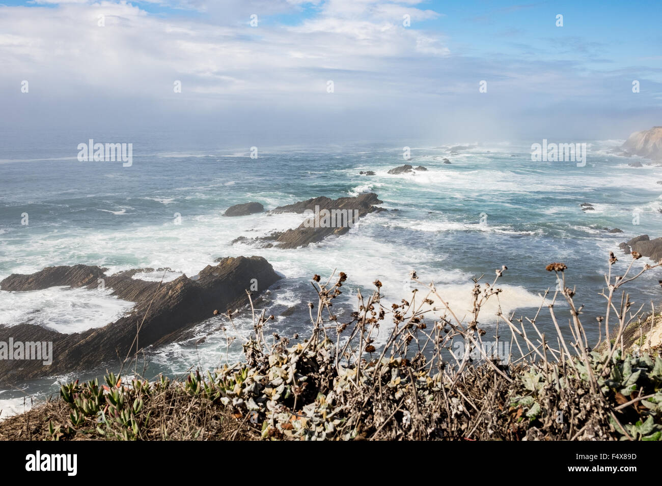 Bluffs entlang der California Küste unter Wasser mit wilden Blumen im Vordergrund. Stockfoto