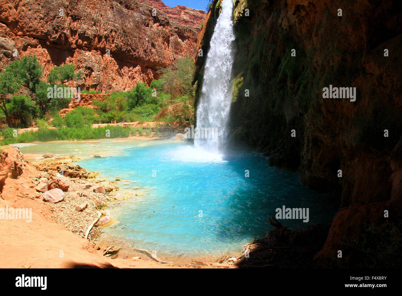 Havasu fällt in der Havasupai-Region des Grand Canyon in Arizona Stockfoto