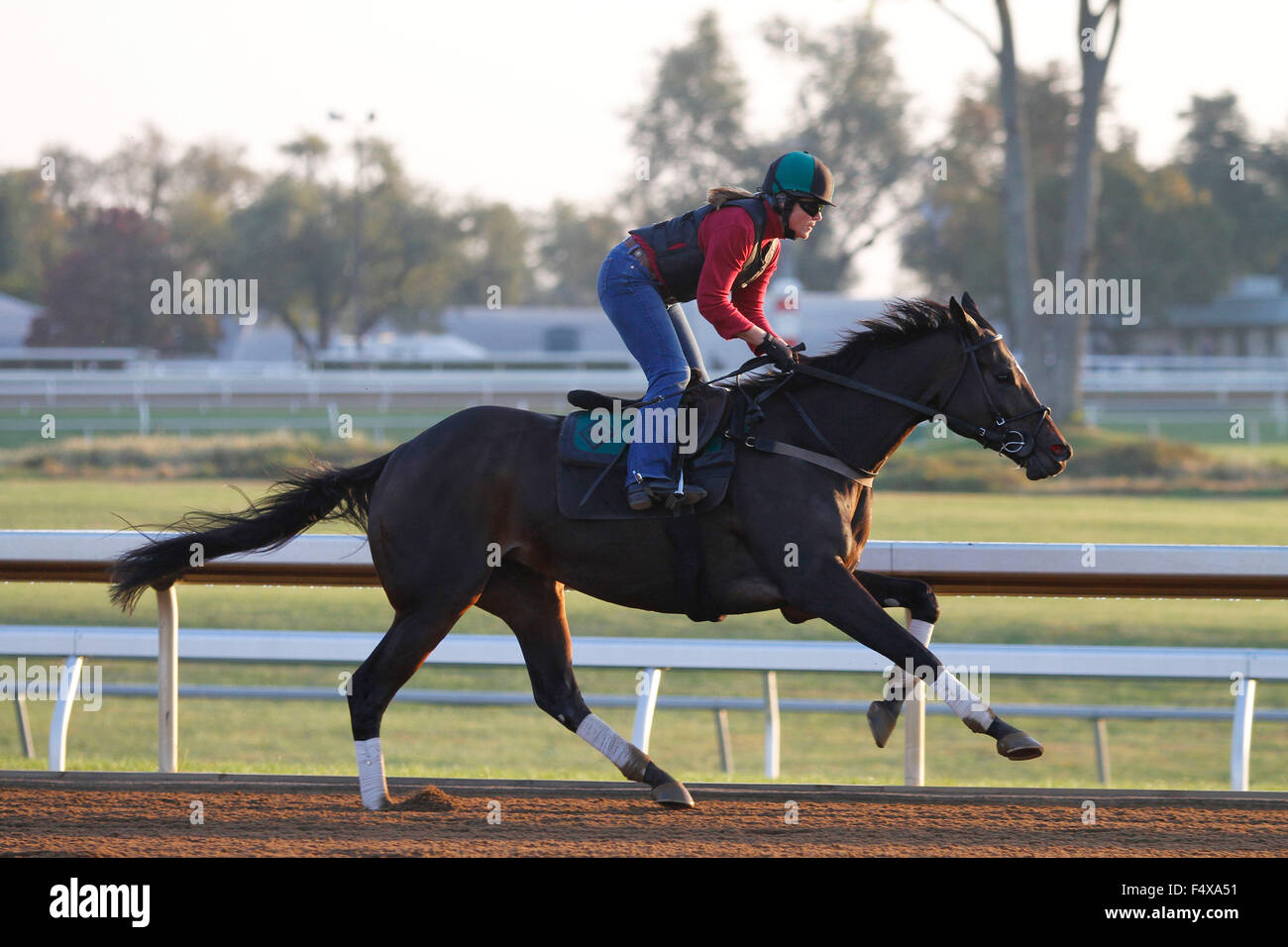 Lexington, KY, USA. 23. Oktober 2015. 23. Oktober 2015: Frivol, trainiert von Vicki Oliver und im Besitz von G. Watts Humphrey, wird in des Züchters Cup Longines Spinnrocken Grade 1 $2.000.000 eingetragen. Candice Chavez/ESW/CSM/Alamy Live-Nachrichten Stockfoto