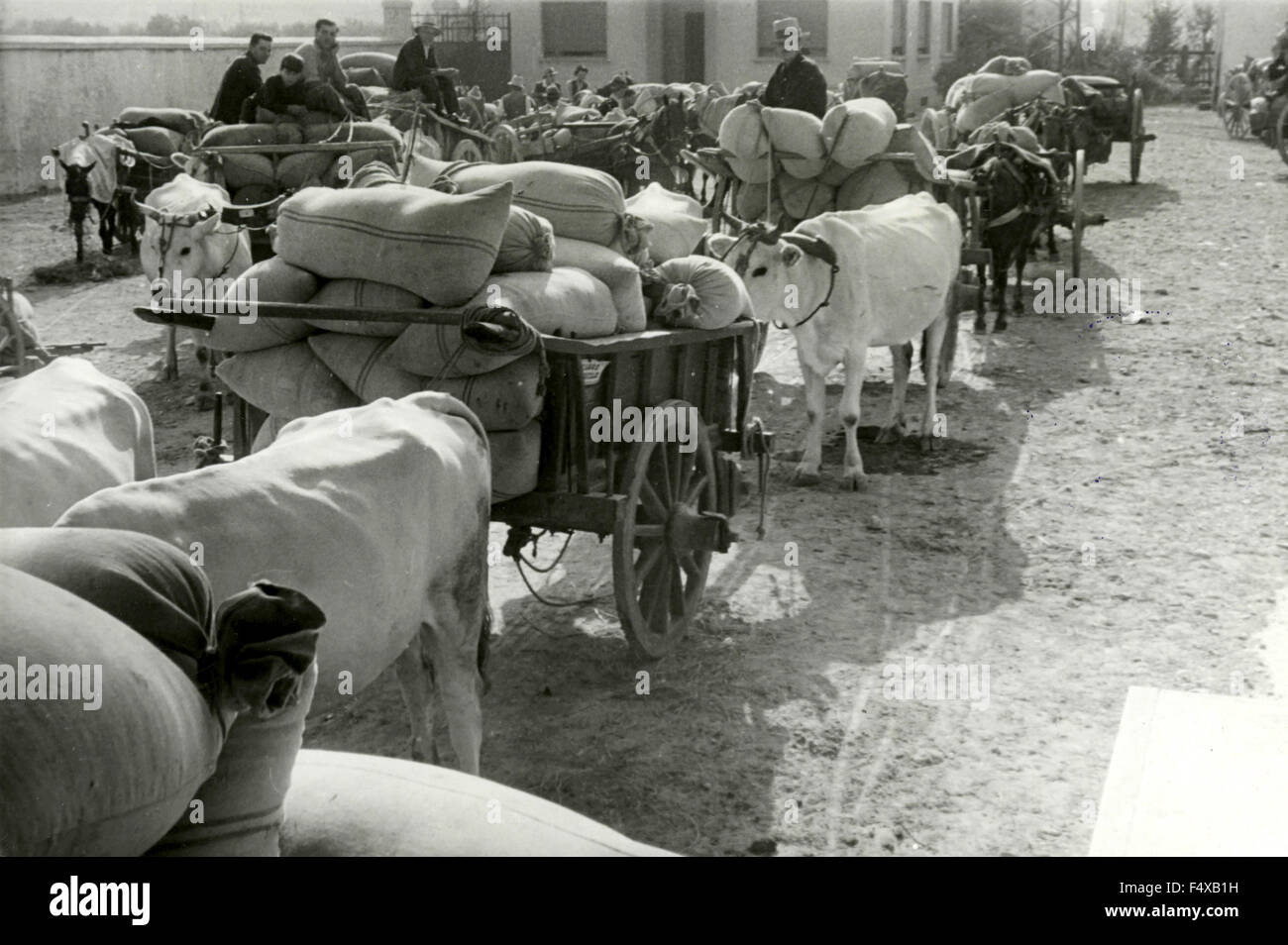 Empfang von Getreide mit dem Silo des landwirtschaftlichen Konsortium Florenz, Italien Stockfoto