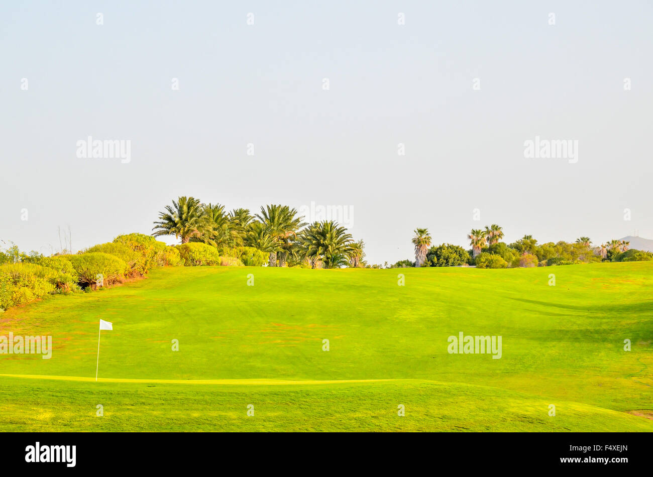 Golf Green Grass Fiel Stockfoto