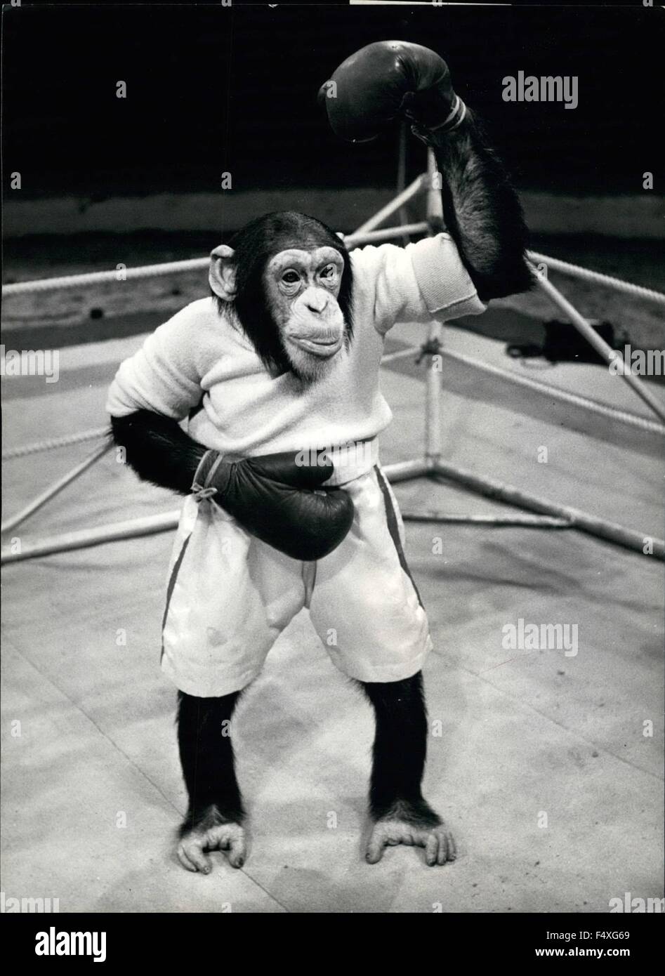 1968 - Hallo Fans: Billy der Champ fühlt sich gut und Spaziergänge rund um den Ring, die Anerkennung der Jubel seiner Fans. © Keystone Bilder USA/ZUMAPRESS.com/Alamy Live-Nachrichten Stockfoto