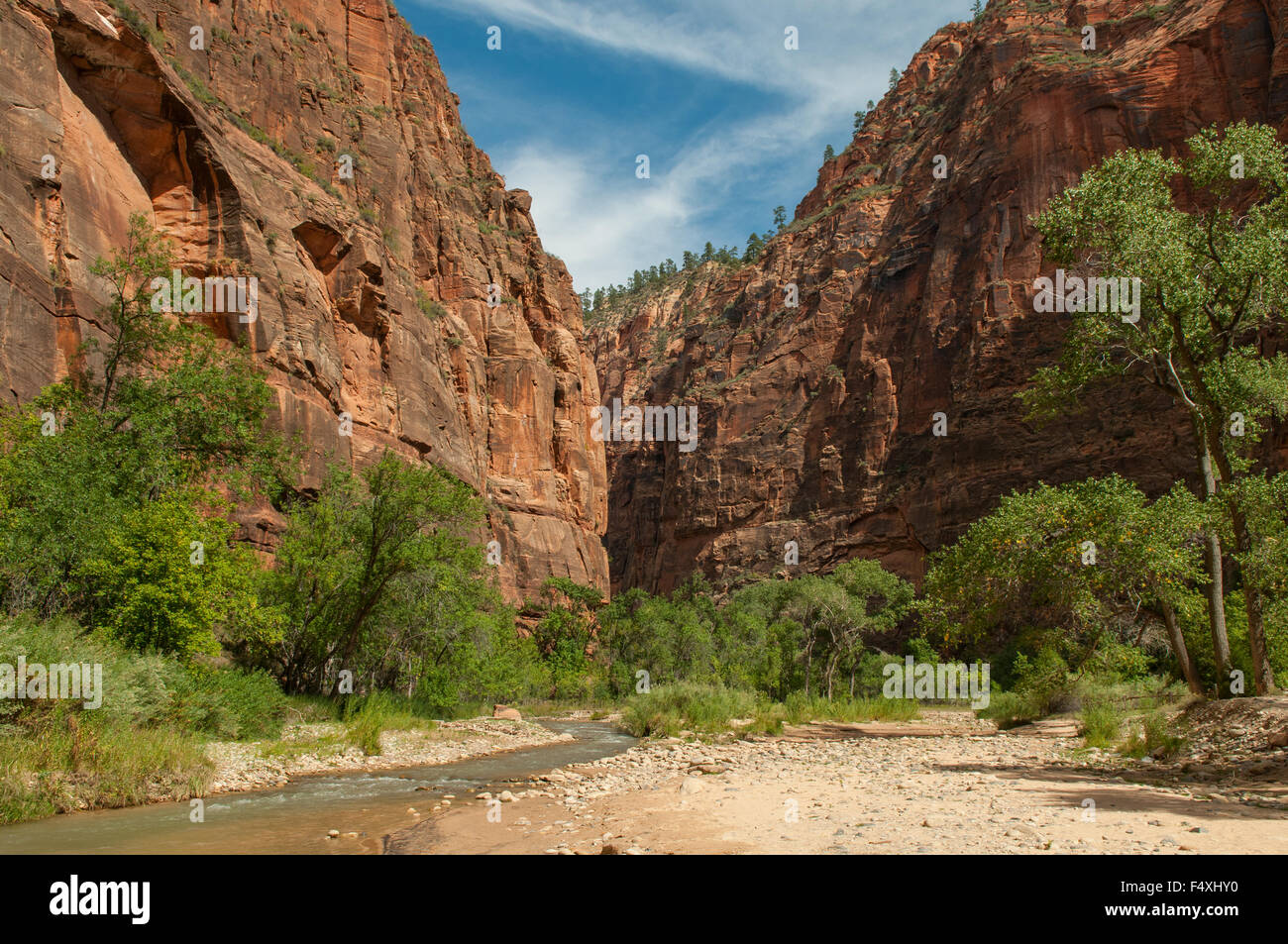 Riverside Walk, Zion NP, Utah, USA Stockfoto