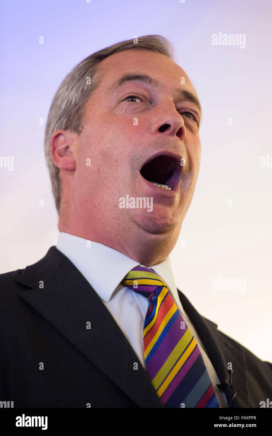 UK Independence Party (UKIP) Führer Nigel Farage in Swansea während der "Say No to EU-Tour." Stockfoto