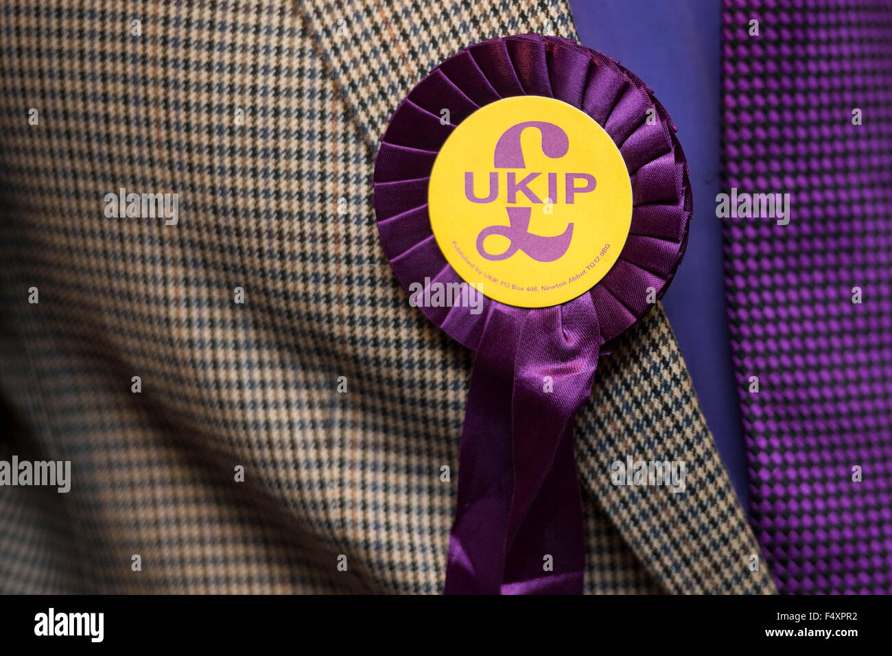 Eine Rosette UKIP (UK Independence Party) auf eine Tweed-Jacke. Stockfoto