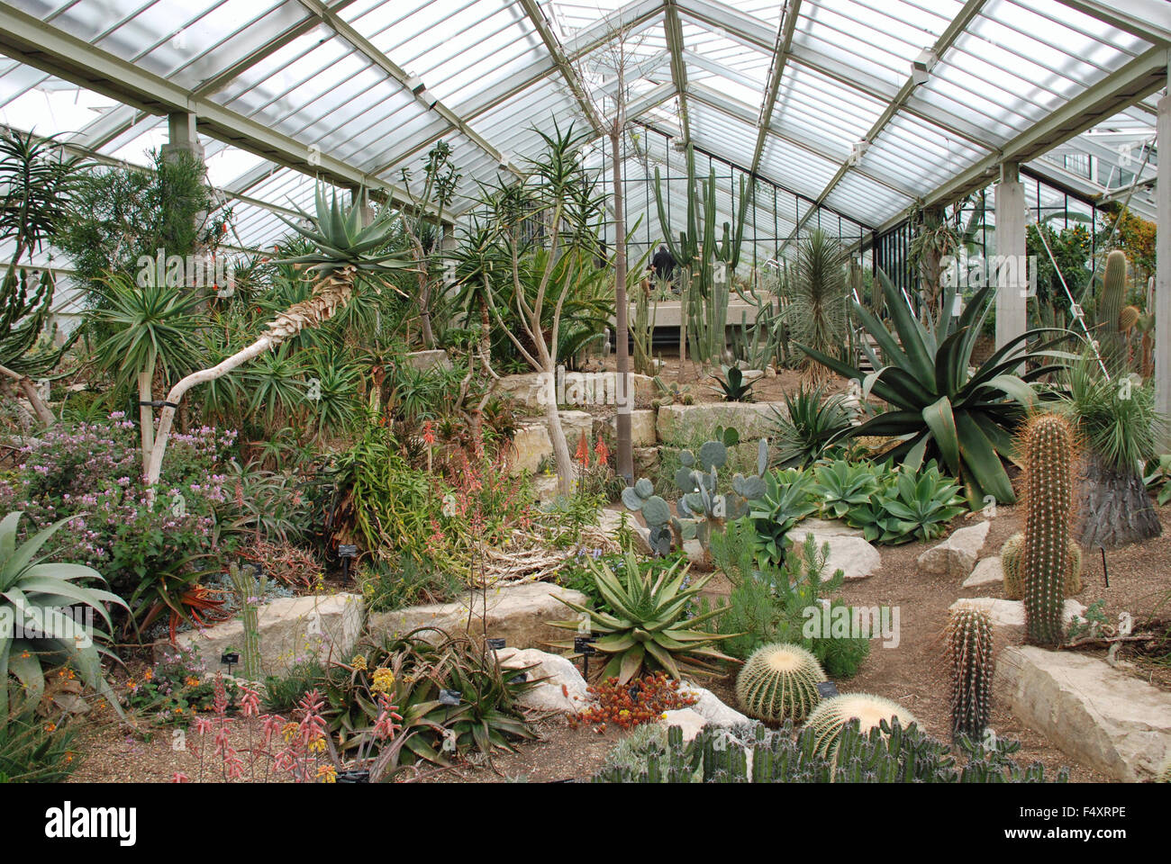 Prinzessin von Wales Diana Konservatorium die Royal Botanical Gardens in Kew Gardens London England Stockfoto