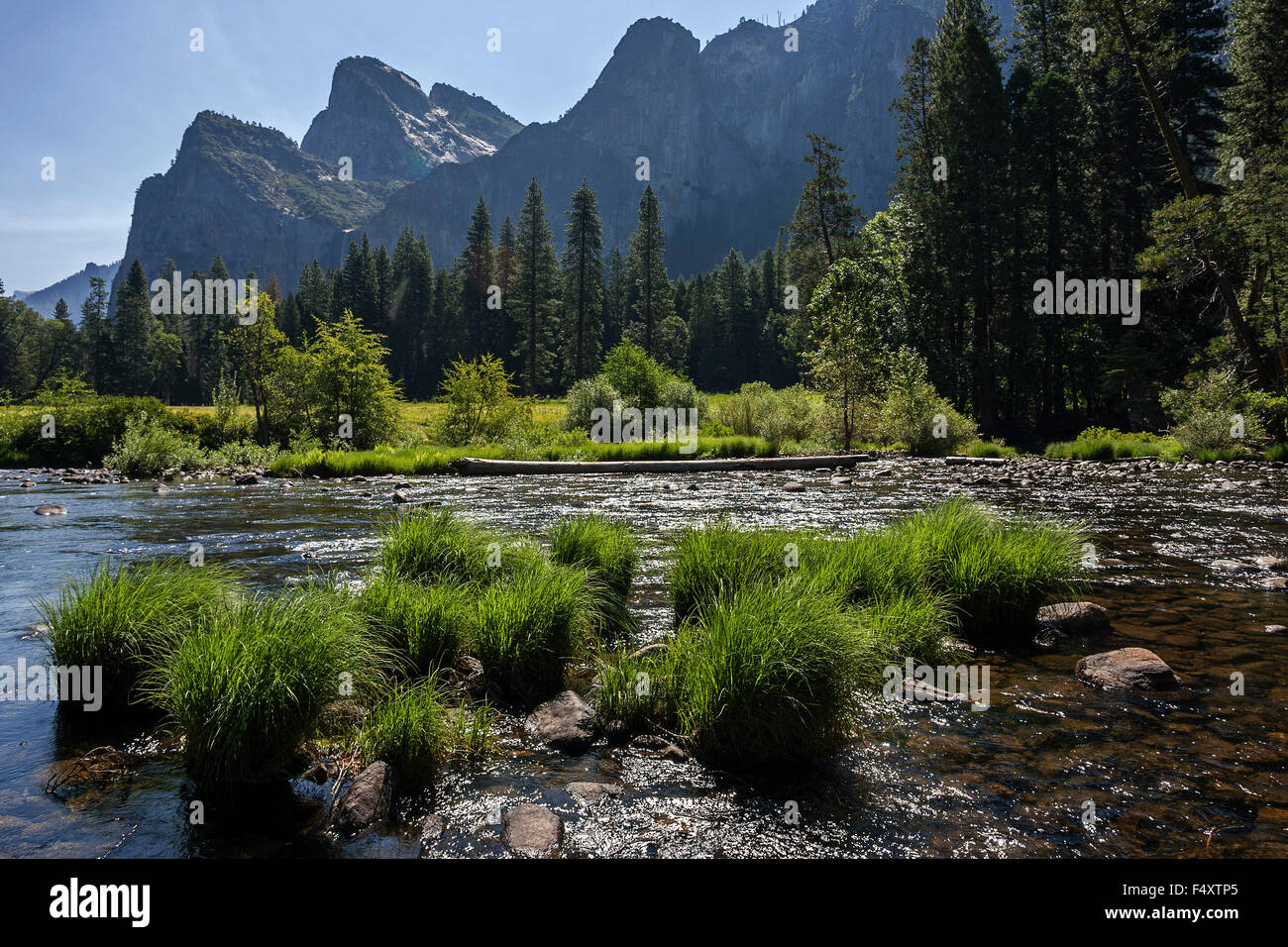 Merced River, Cathedral Rocks hinter Yosemite Tal, Yosemite National Park, USA Stockfoto