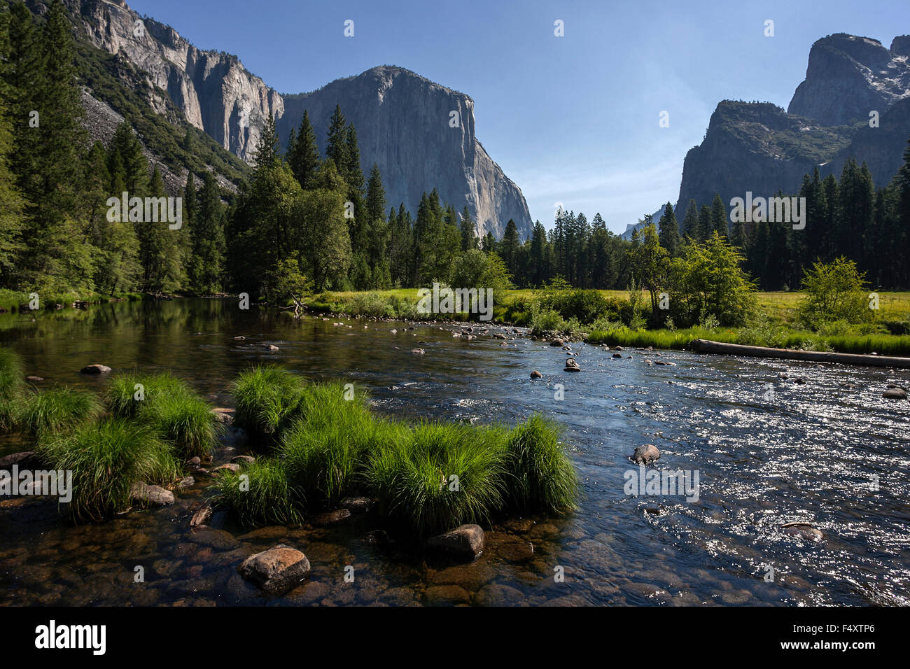 Merced River, El Capitan links, Kathedrale Felsen rechts, am Abend Licht, Yosemite Tal, Yosemite-Nationalpark, USA Stockfoto