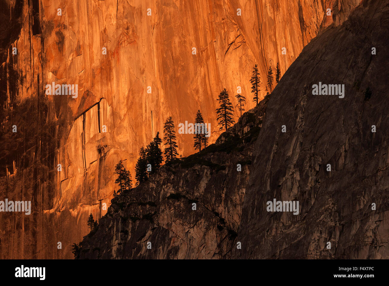 Half Dome Nordwestwand beleuchtet durch Festlegen von Sonne, Abend Licht, Yosemite-Nationalpark, USA Stockfoto