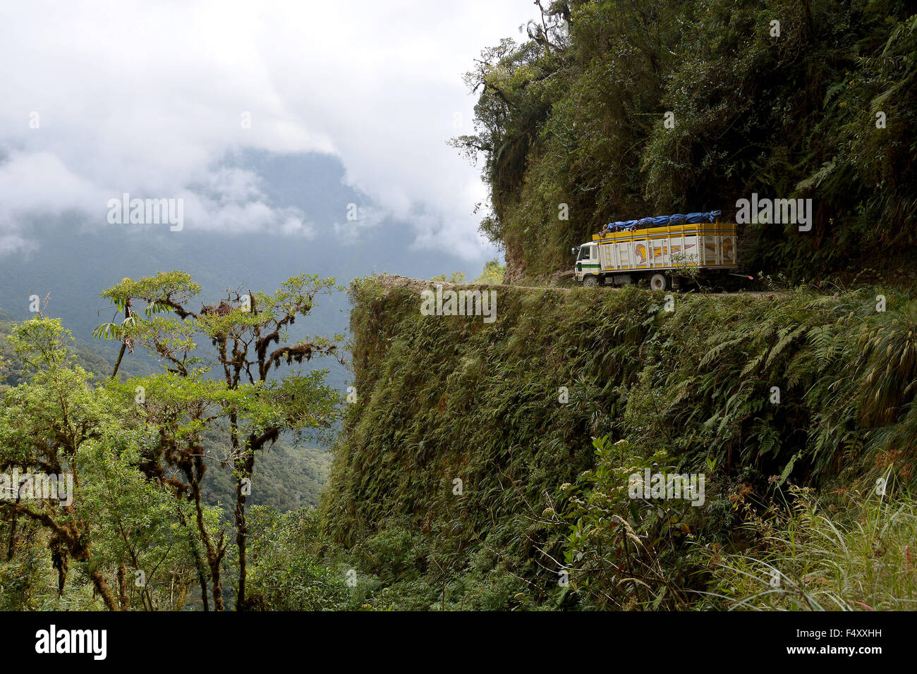 Lkw oberhalb Steilhang auf Tod Road, reichen subtropischen Vegetation, Camino de La muerte, yungas, Straße zwischen La Paz und coroico Stockfoto