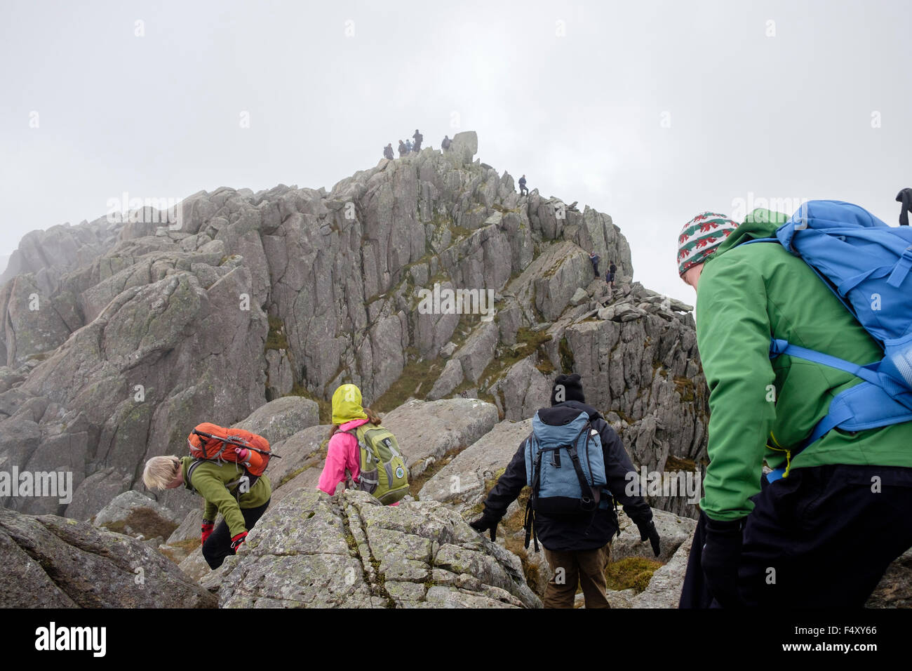 Wanderer, die kriechen, bis Mount Tryfan felsigen Gipfel in niedrigen Wolken in den Bergen des Snowdonia National Park. Ogwen, North Wales, UK Stockfoto