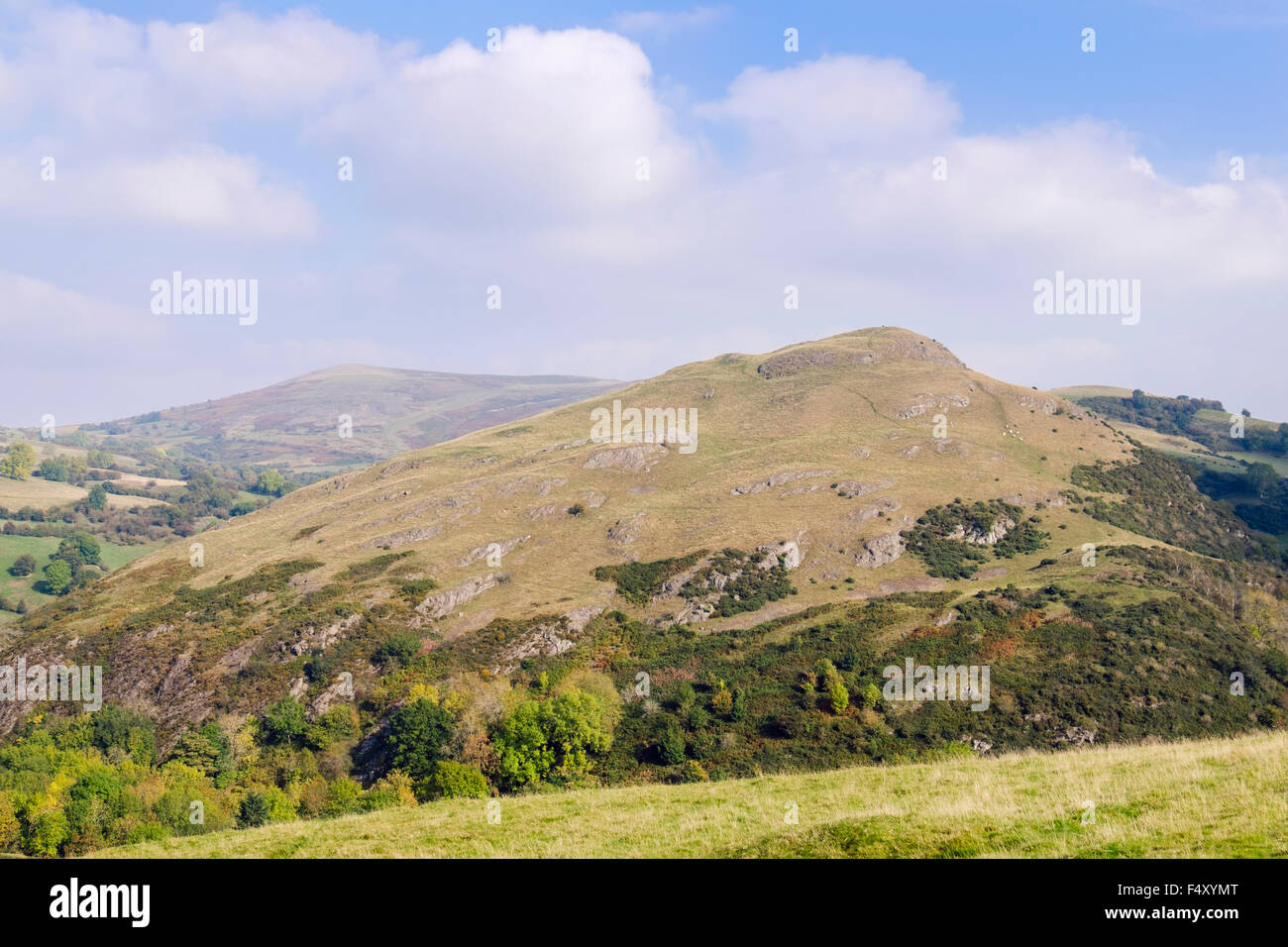 Blick nach Norden Roundton Hill mit Eisenzeit Burgberg gesehen von Todleth Hill Churchstoke Montgomeryshire Powys Mid Wales UK Stockfoto