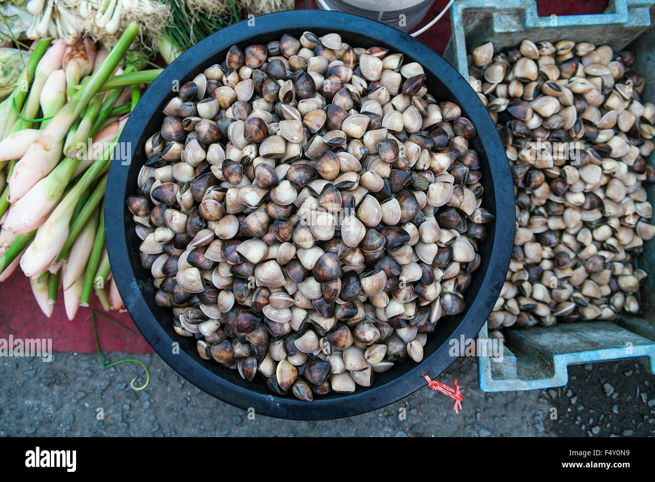 Ein frisches Dreiecksmuscheln Fisch zum Verkauf an den lokalen Markt Sonntagsmarkt, Fokus auf das Zentrum Herzmuscheln und flachen DOF gerichtet. Stockfoto