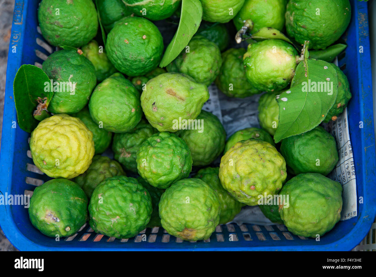 Frische Kafir Lime auf Sonntagsmarkt verkaufen. Fokus darauf hingewiesen in der Mitte und flachen DOF. Stockfoto
