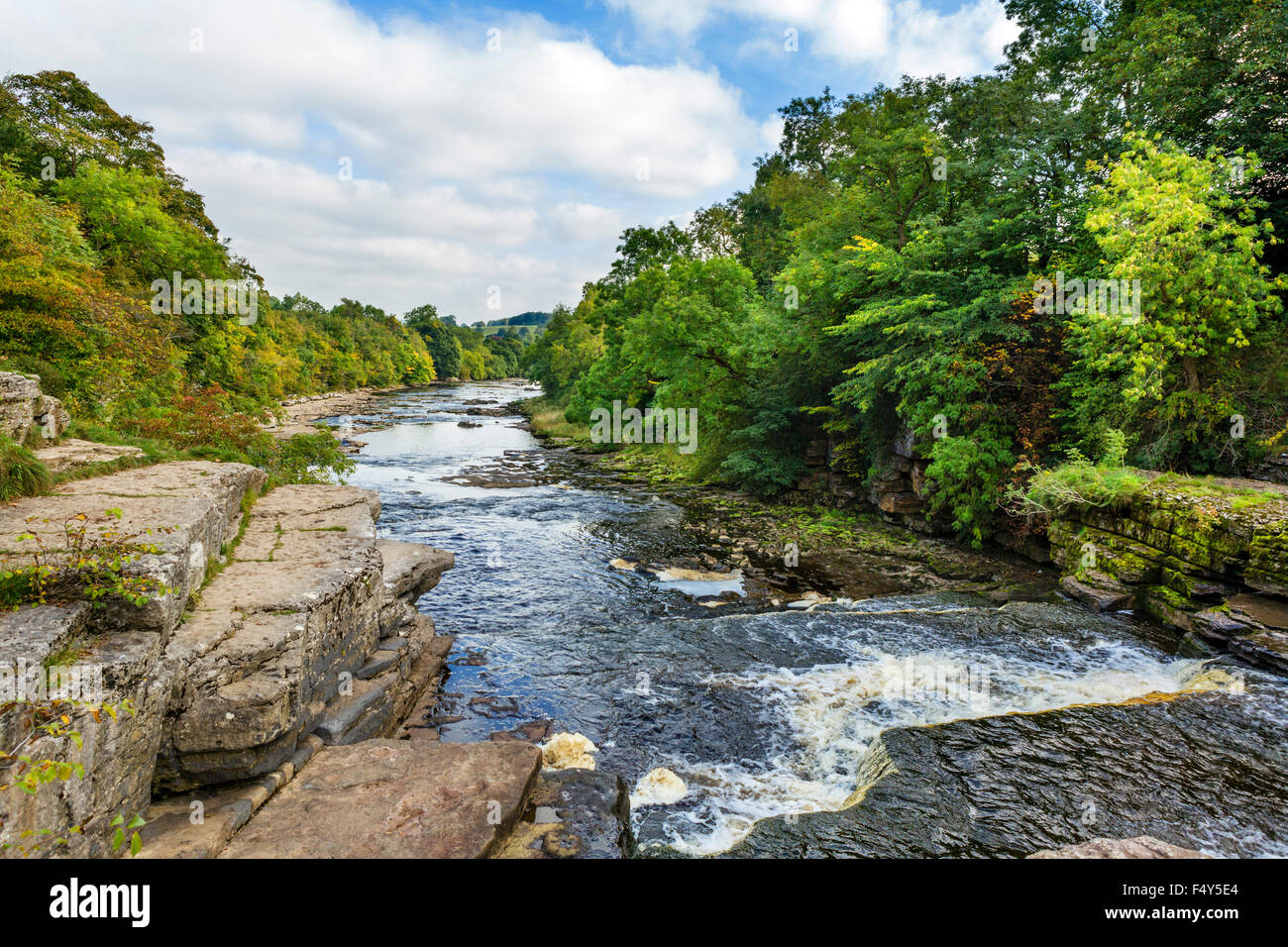 Aysgarth Lower Falls, Yorkshire Dales, North Yorkshire, England, UK Stockfoto