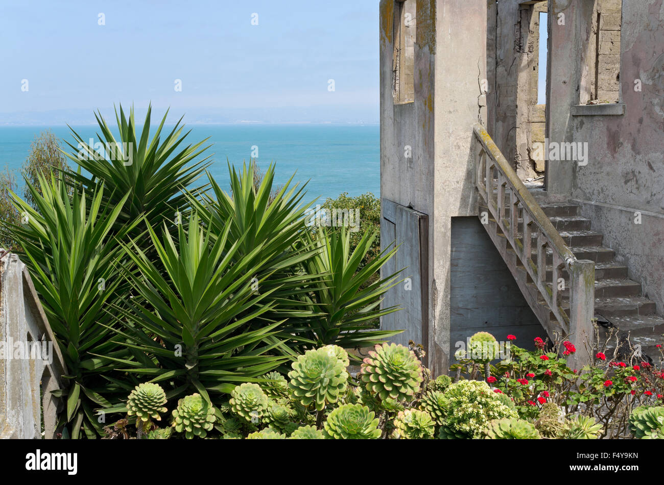 verlassenen und verfallenen Ruinen der Aufseher Haus auf Alcatraz Island und Garten mit Yucca und Aeonium Arboreum Pflanzen mit Blick auf san Stockfoto