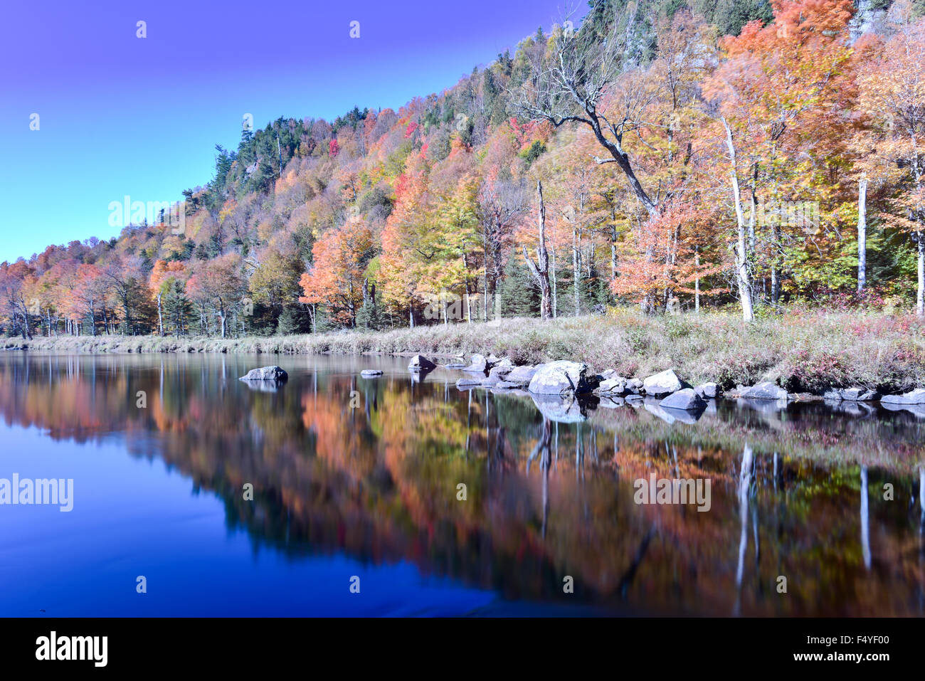 Adirondacks Peak Herbstlaub im Bundesstaat New York entlang der Ausable River. Stockfoto