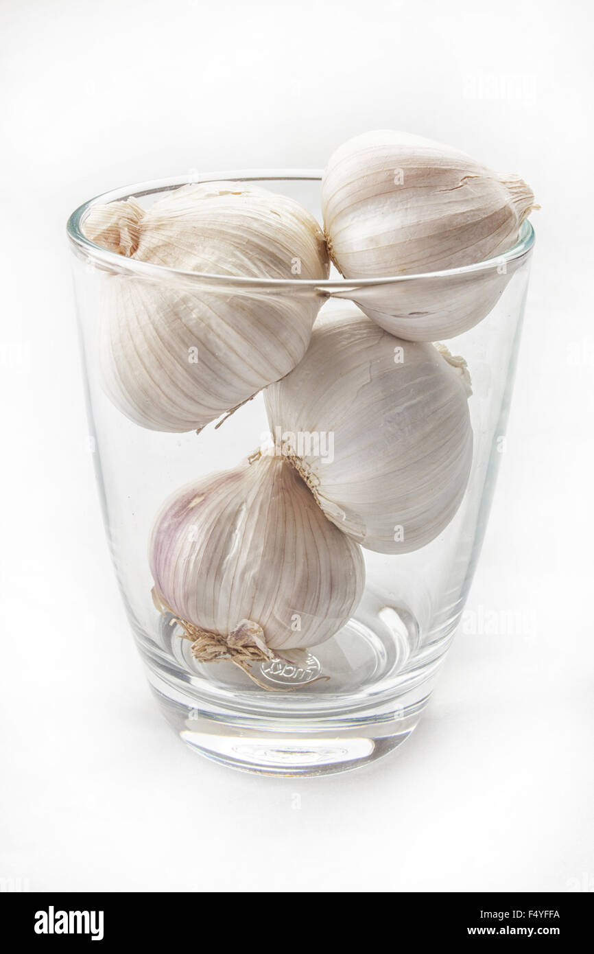 Frischer Knoblauch im Glas isoliert auf weißem Hintergrund. Stockfoto