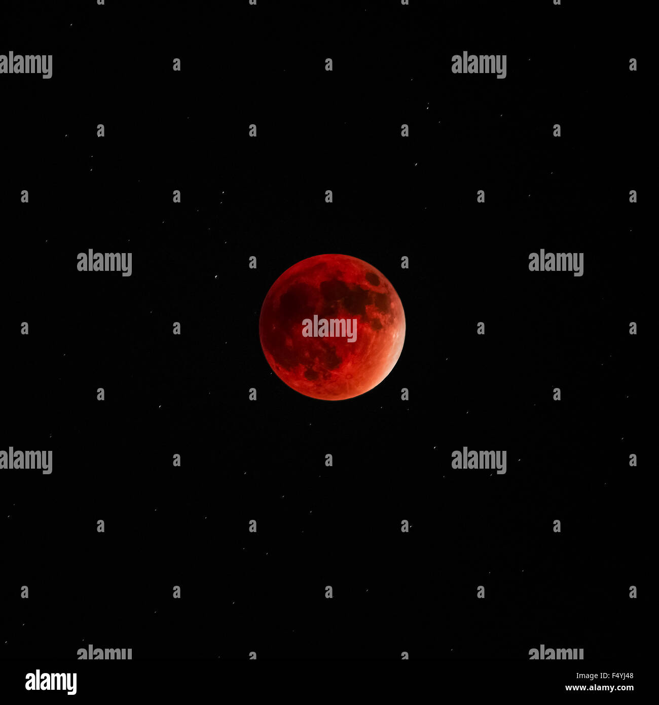 Volle Mondfinsternis super Mond rot blutig dunklen Himmel Stockfoto