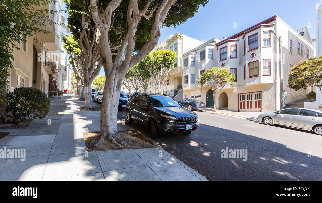 Blick auf die Stadt in San Francisco, Kalifornien, Vereinigte Staaten von Amerika, Nordamerika Stockfoto
