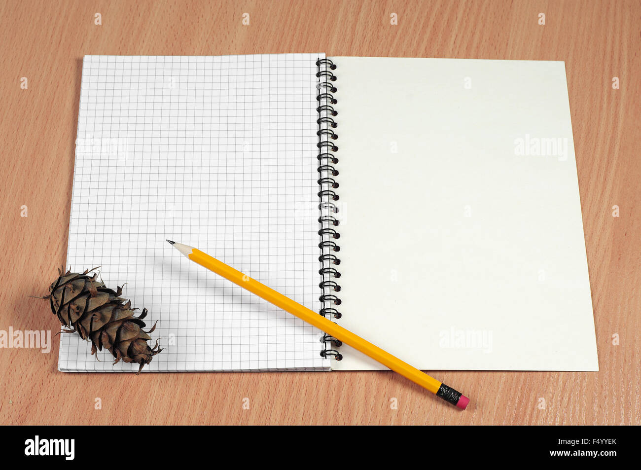 Geöffnete Notizblock, Bleistift und Kiefer Kegel auf dem Schreibtisch Stockfoto