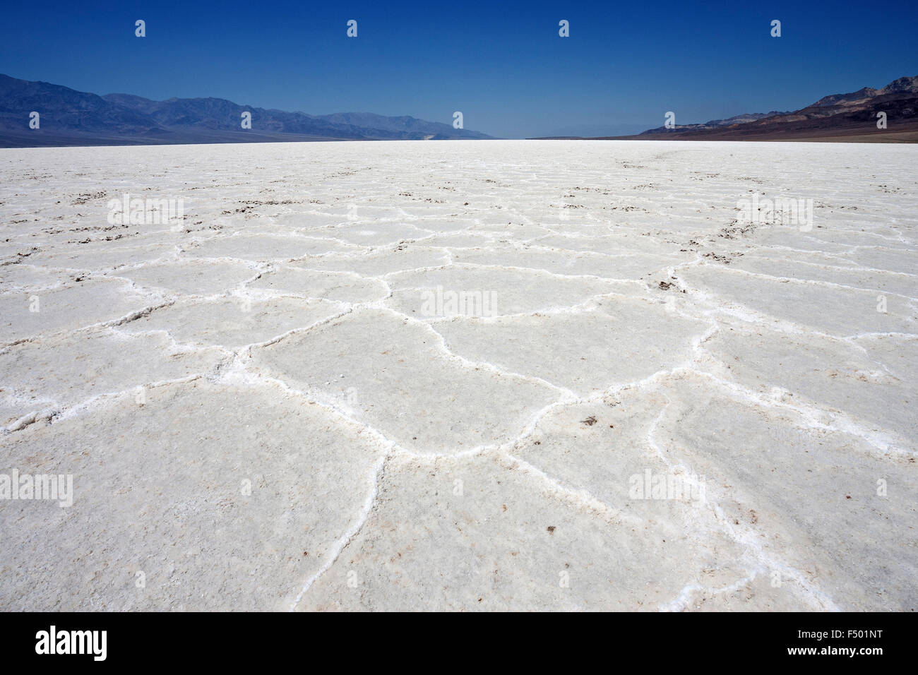 Salzkruste in Badwater Basin Salzpfanne, tiefsten Punkt in Nordamerika, Death Valley, Panamint Range links, schwarze Berge Stockfoto