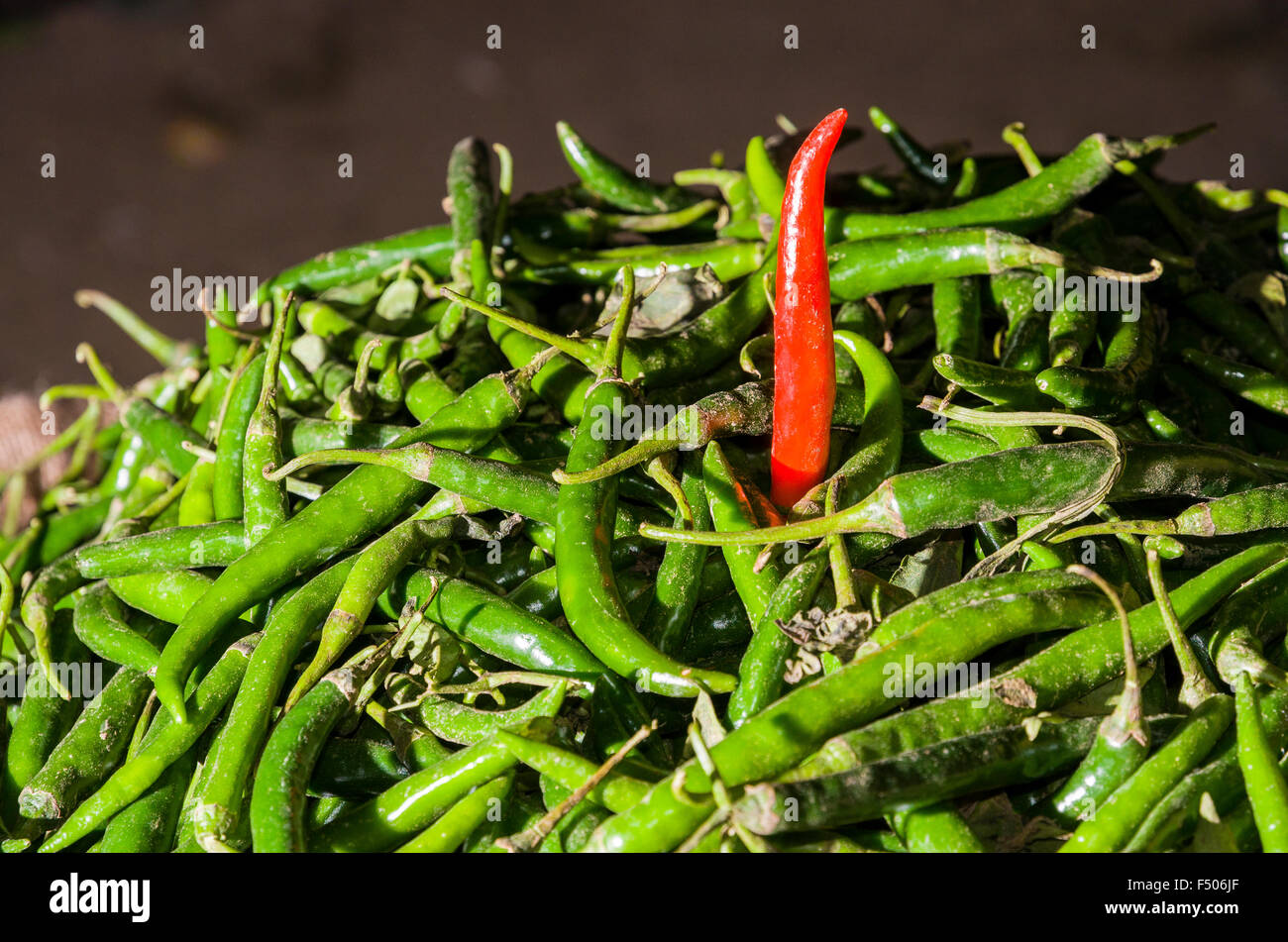 Viele grüne und eine rote Chilis zum Verkauf auf der Straße angezeigt Stockfoto