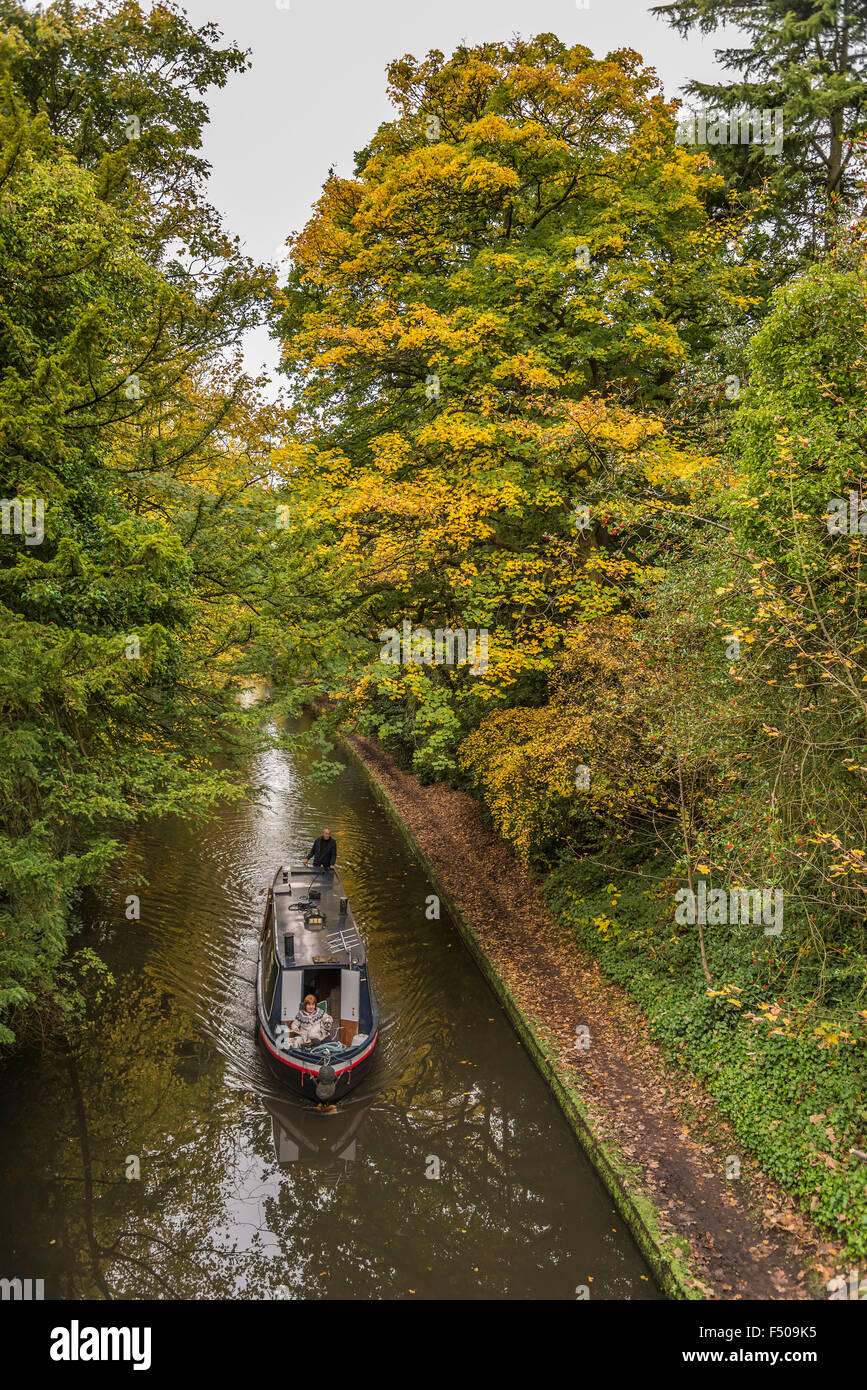 Der Bridgewater Kanal am Walton in der Nähe von Warrington. Cheshire. Nordwestengland. Gold-Blätter im Herbst. Stockfoto