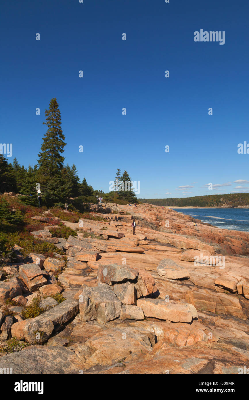 Die Küste von Maine im Acadia National Park, Mount Desert Island, Maine USA Stockfoto