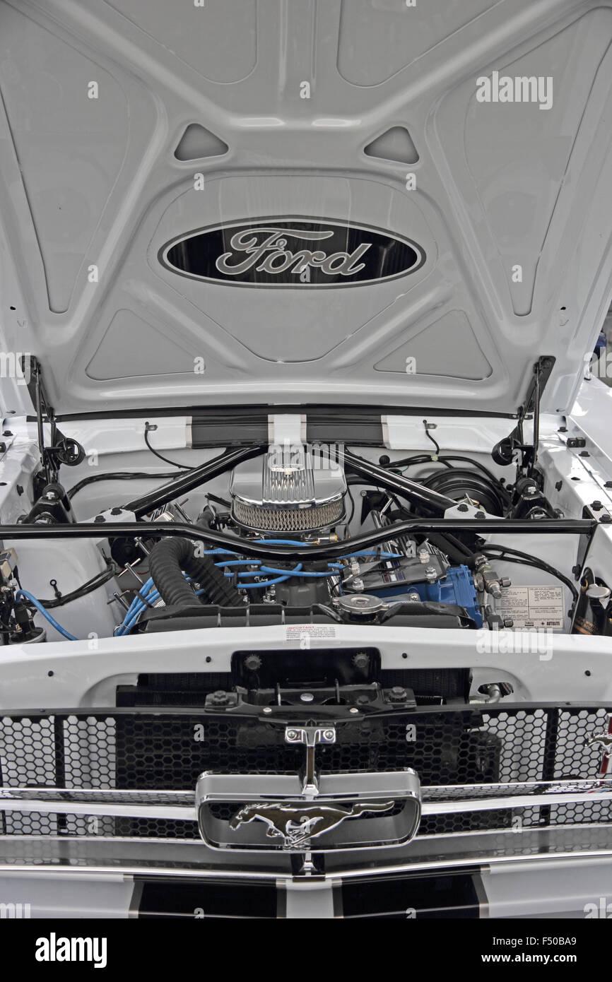 Motorraum des 1965 Ford Mustang Stockfoto