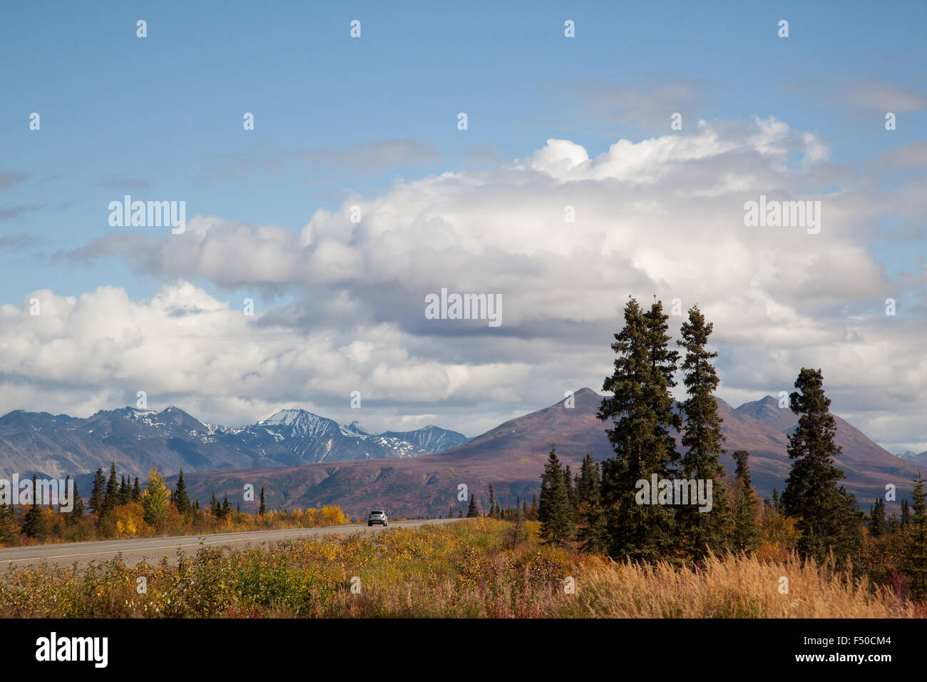 Panoramablick vom Denali State Park am George Parks Highway, Alaska Stockfoto
