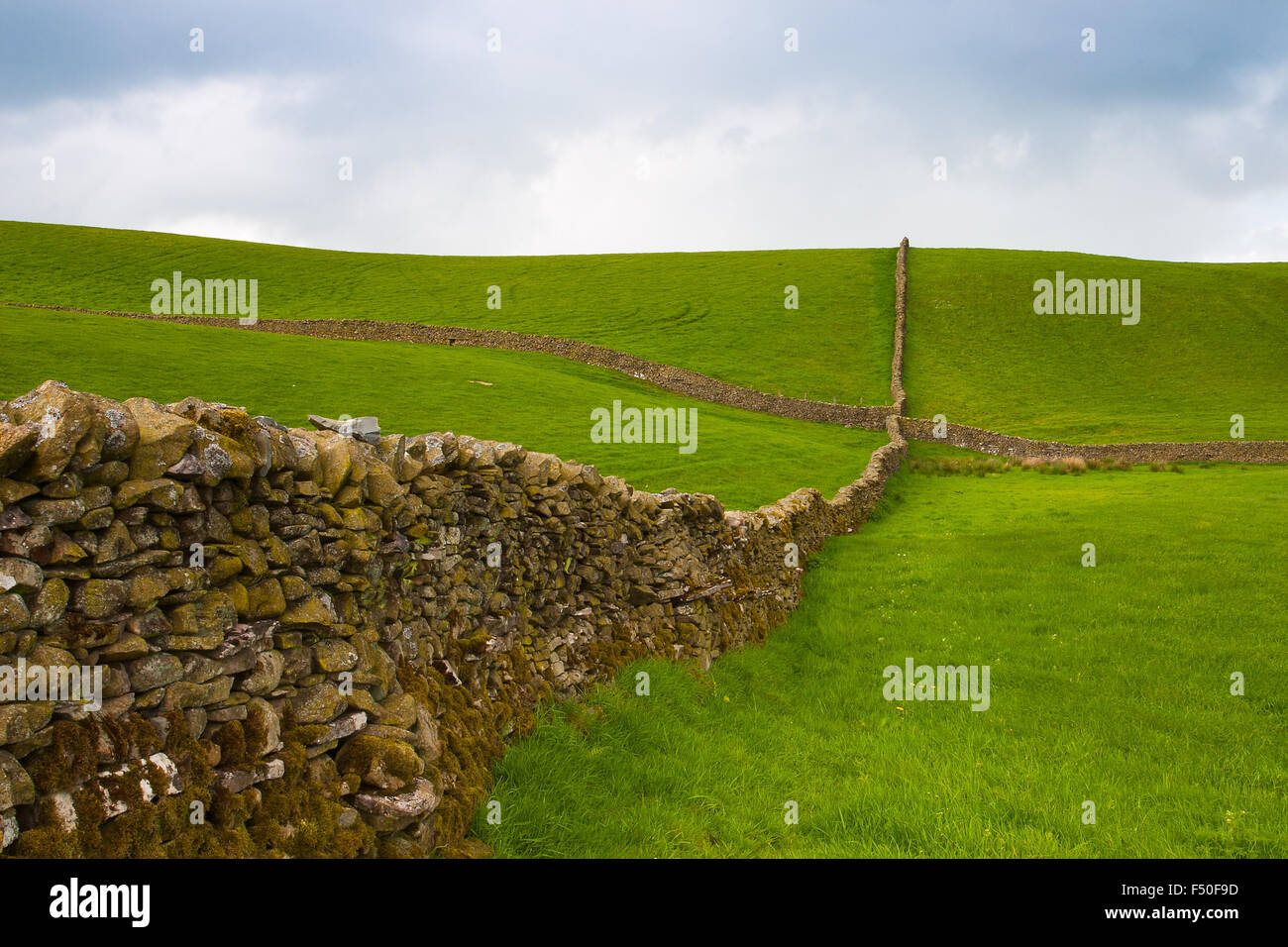 Typischen trockenen Steinen Wand auf der Weide in Yorkshire Dales, Großbritannien Stockfoto
