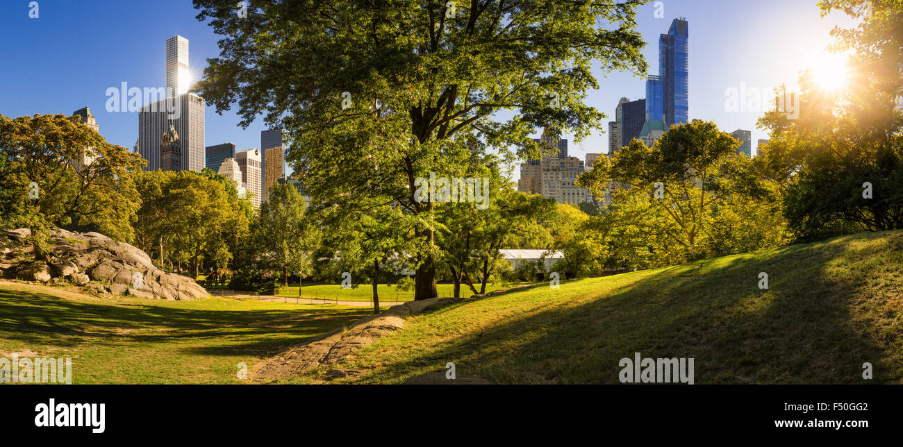 Am Nachmittag Panoramablick auf Central Park im Sommer mit Wolkenkratzern von Manhattan, New York City Stockfoto