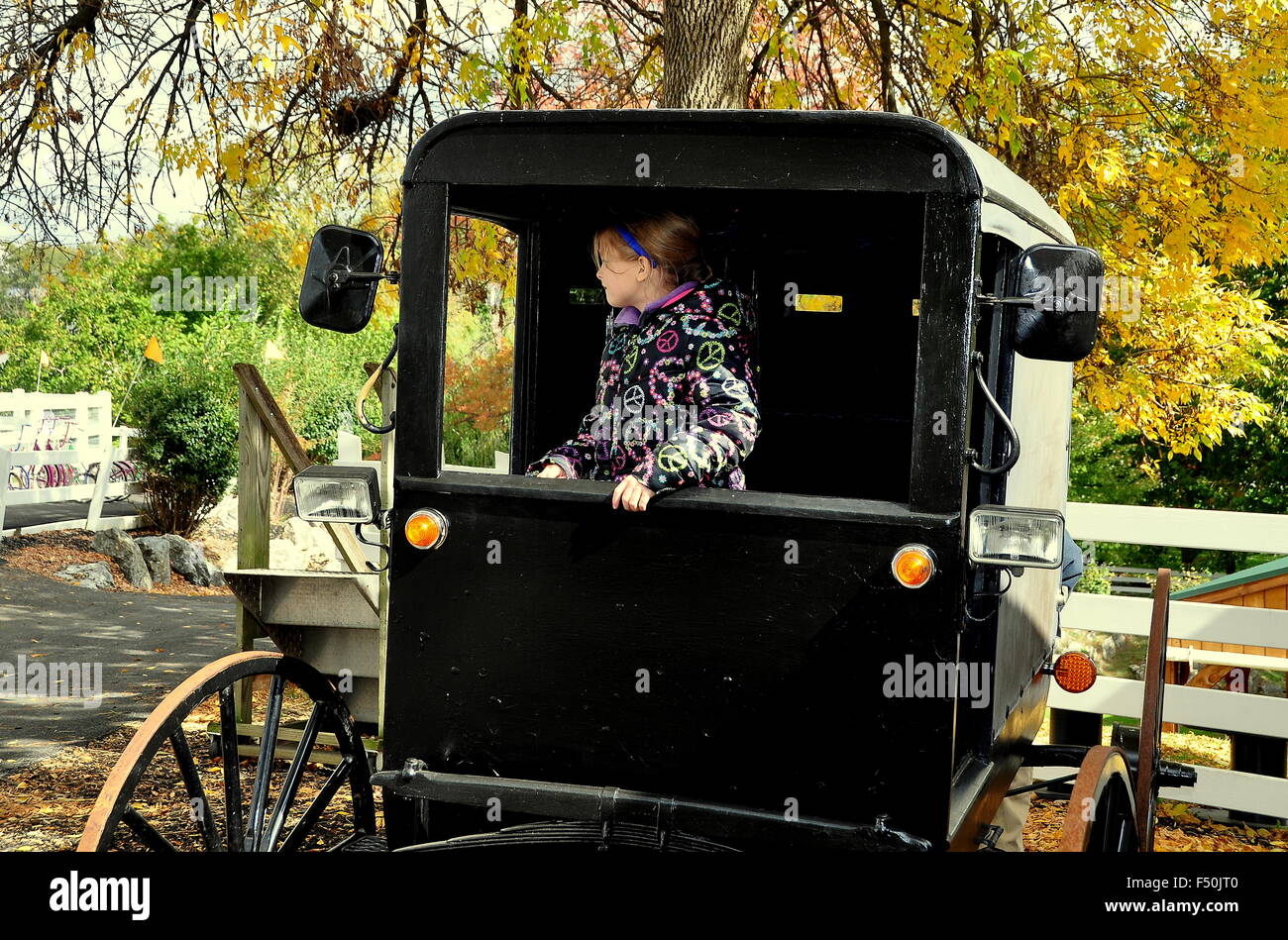 Lancaster, Pennsylvania: Kleines Mädchen sitzt in einem traditionellen Amish Buggy auf die Amish Hof und Haus-Museum Stockfoto