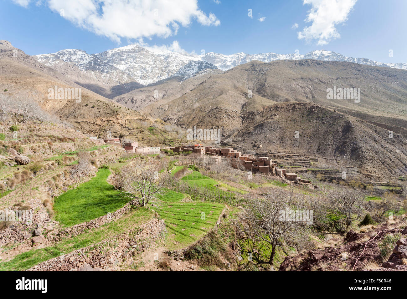 Abgelegenes Berberdorf und Terrassen, Toubkal Nationalpark, hoher Atlas, Marokko, Nordafrika Stockfoto
