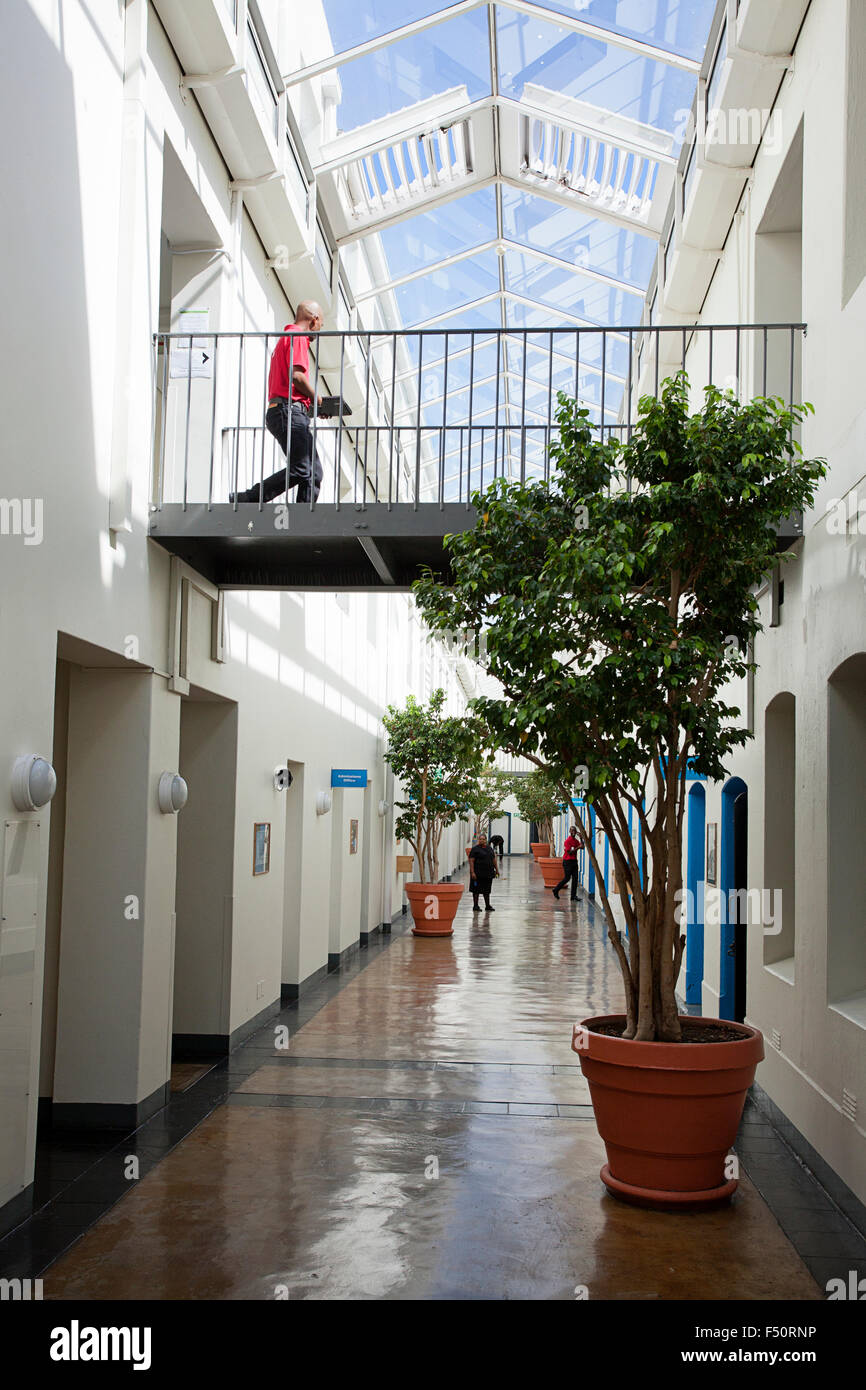 3 UCT GSB Studenten Durchgang mit eingemachten Bäume entlang Stockfoto