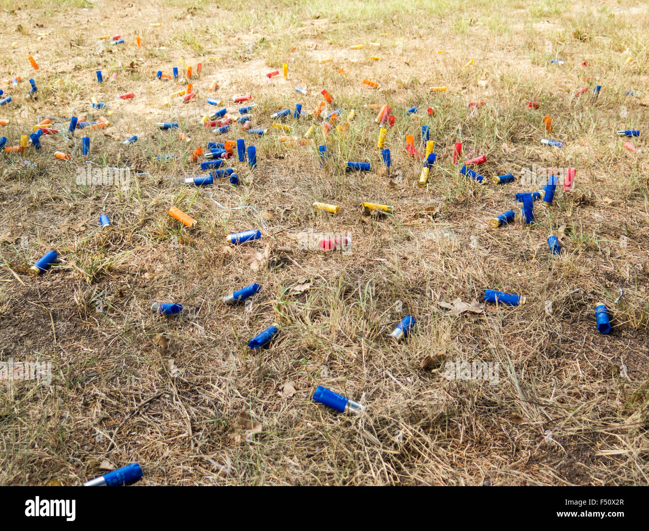Leere Shotgun Shell Patronen auf Boden Stockfoto