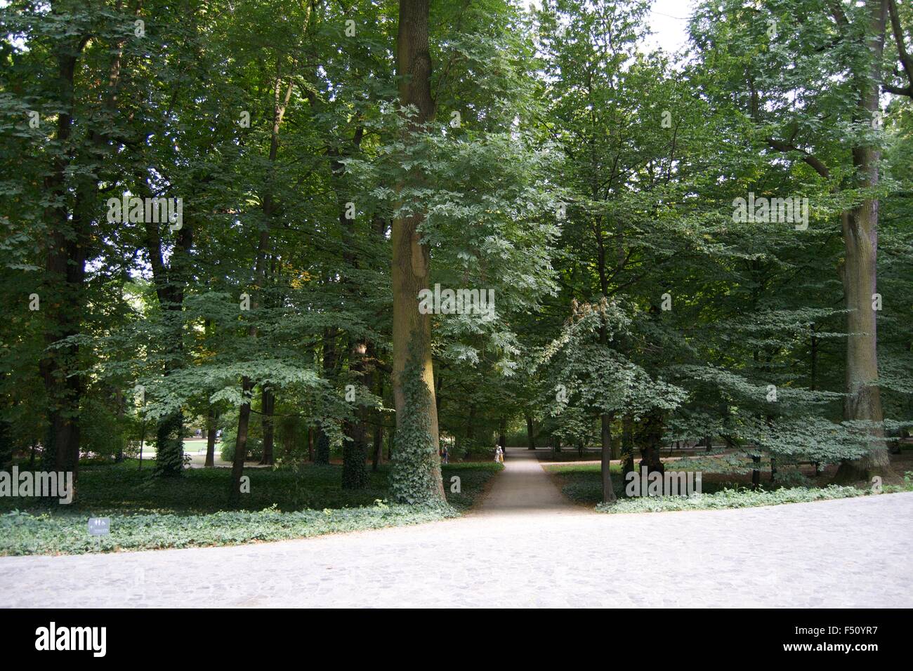 Lazienki Park Warschau Pfad Straße Wasser Grasbäume Stockfoto