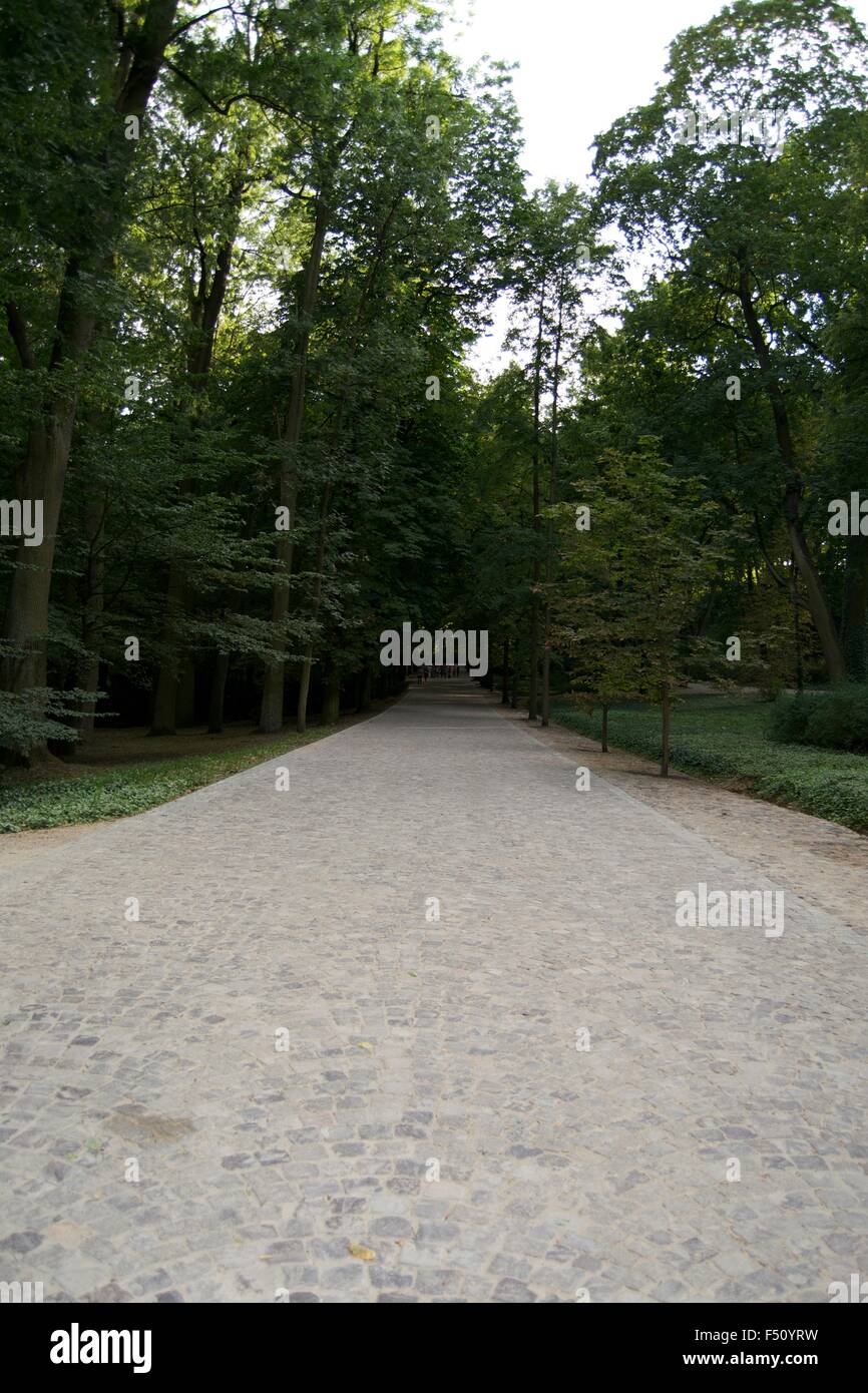Lazienki Park Warschau Pfad Straße Wasser Grasbäume Stockfoto