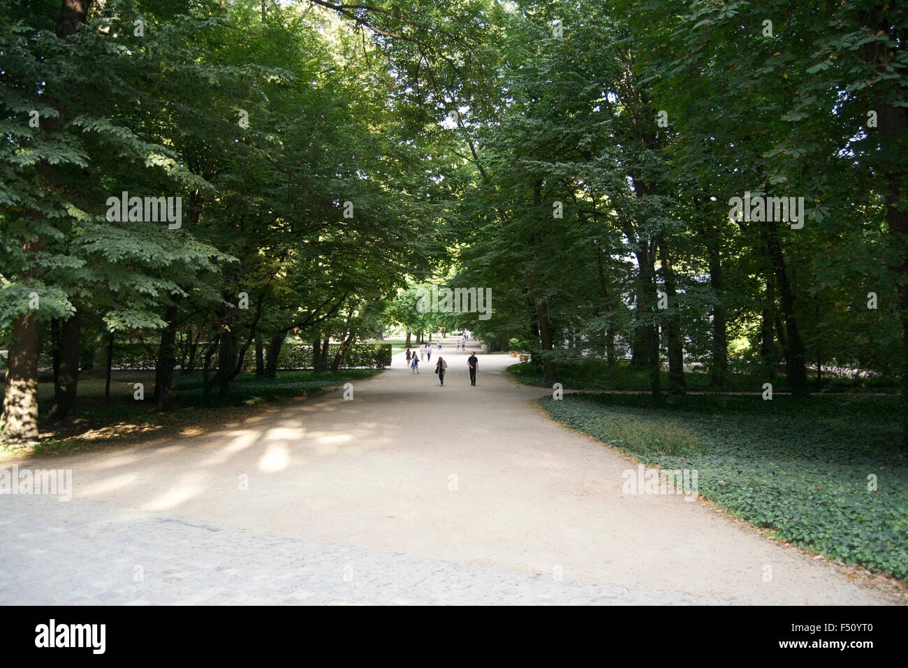 Lazienki Park Warschau Pfad Straße Wasser Grasbäume Stockfoto