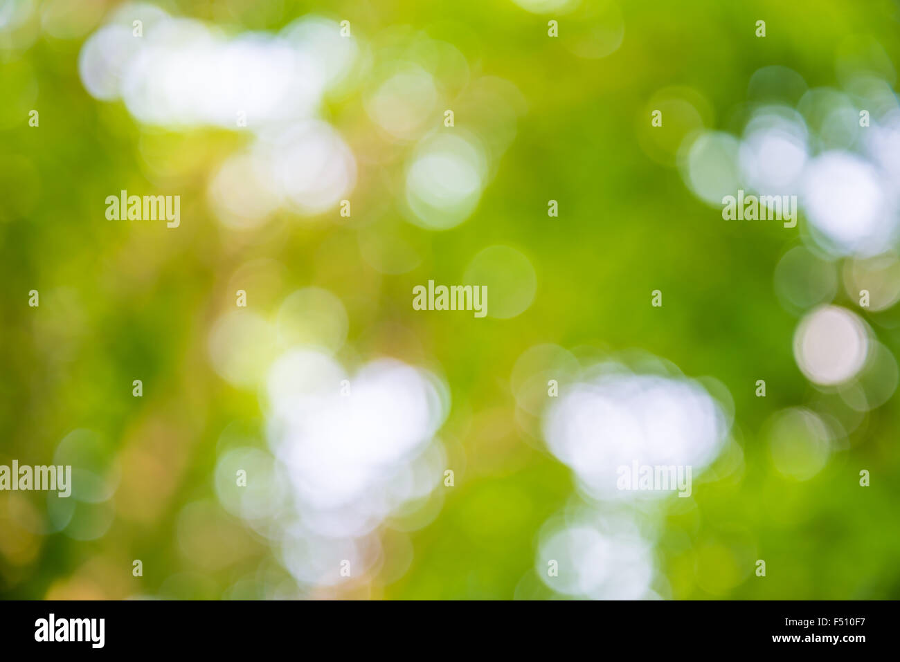 Vergrößern Sie Schuss aus Fokus grüner Baum für den Hintergrund. Bokeh Stockfoto