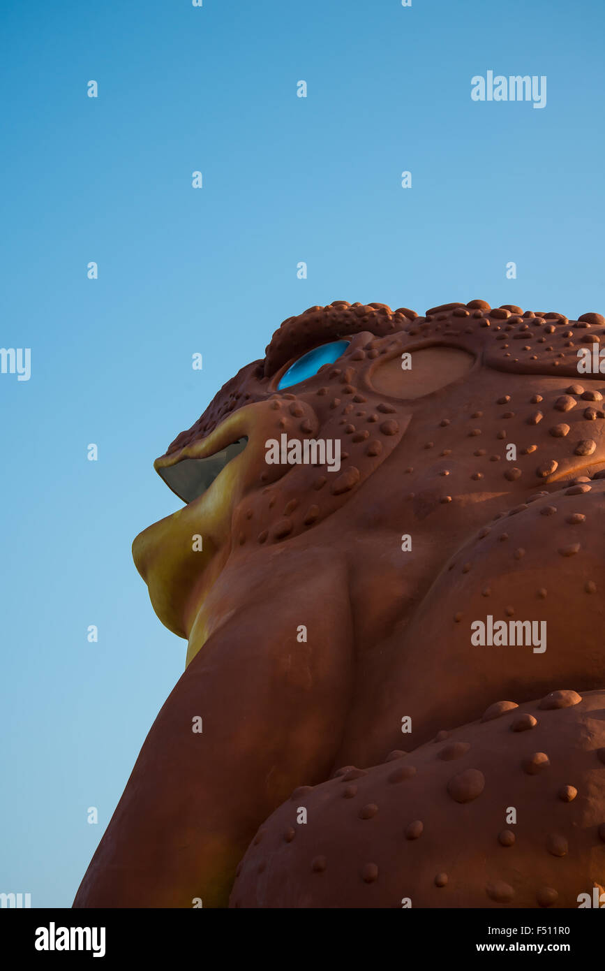 Grüne Kröten Stockfotos & Grüne Kröten Bilder - Alamy