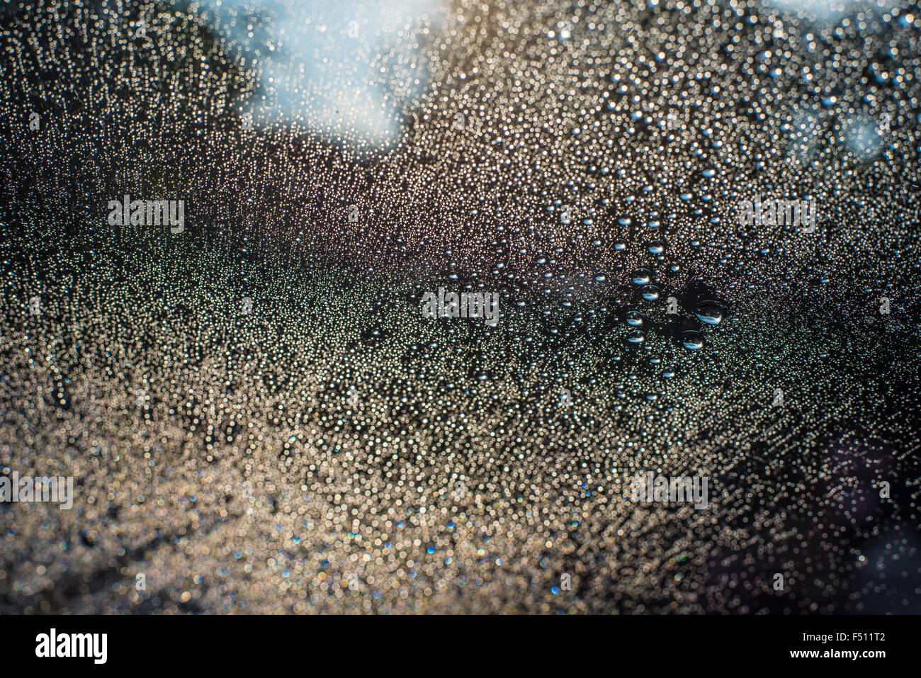 Zoom-Schuss aus Wassertröpfchen Fokus auf Glas. Stockfoto