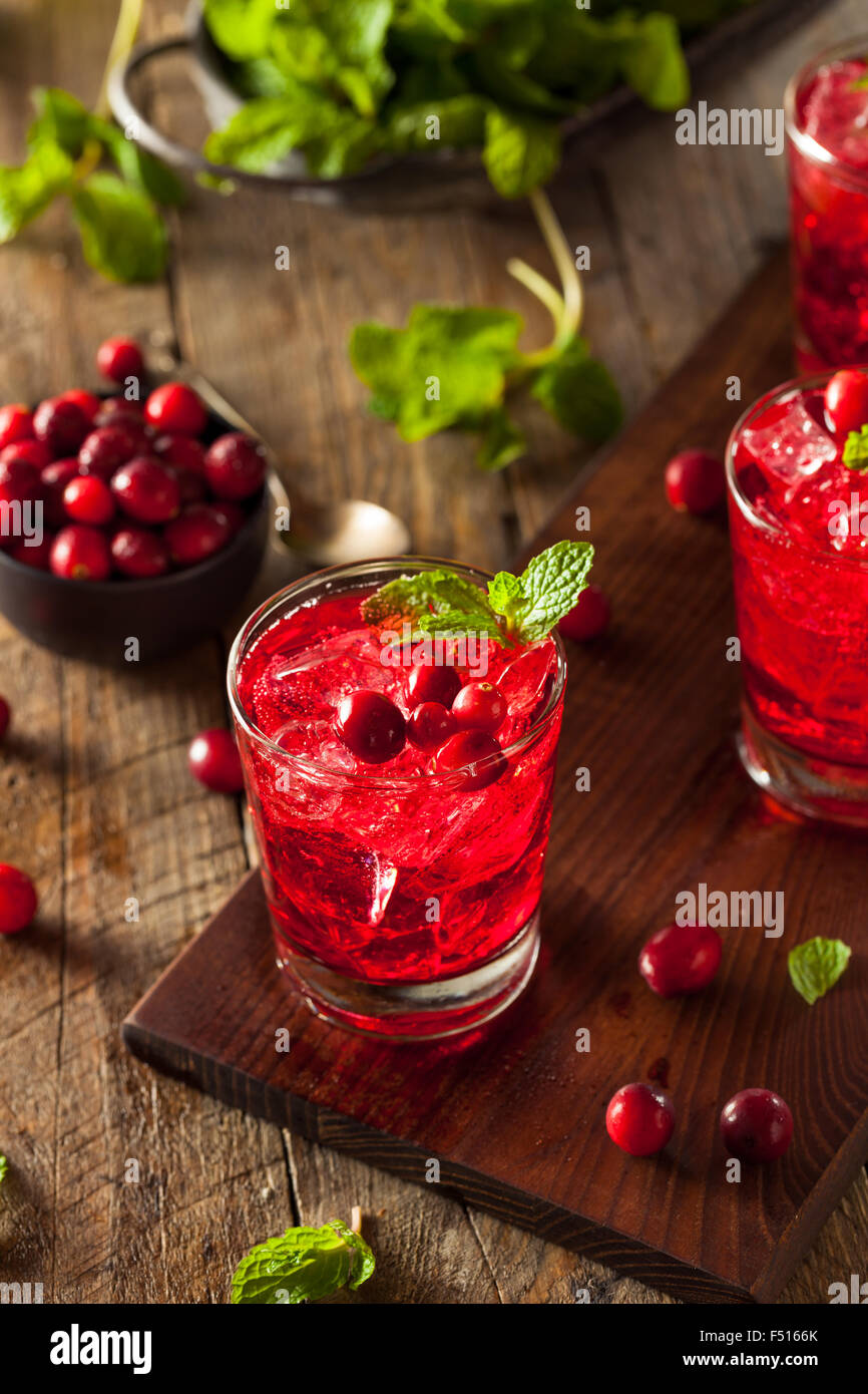 Hausgemachte versoffenen Cranberry Cocktail mit Wodka und Minze Stockfoto