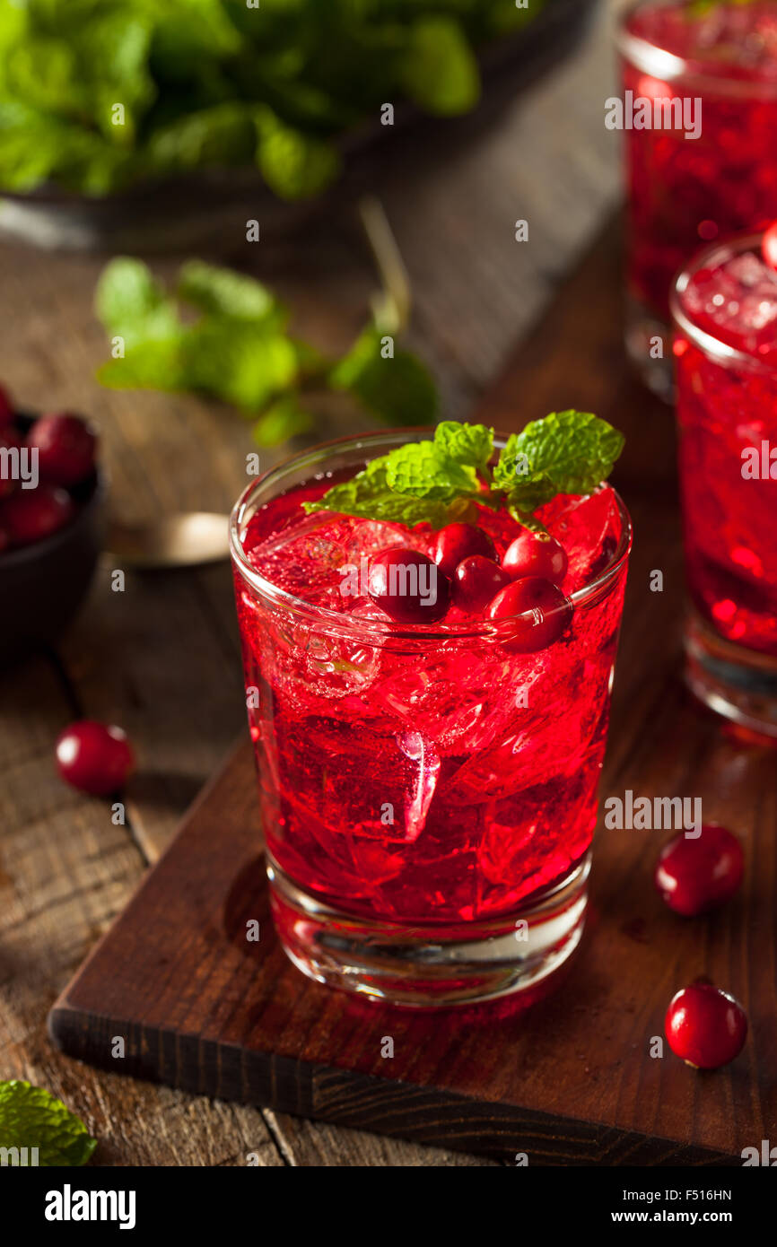 Hausgemachte versoffenen Cranberry Cocktail mit Wodka und Minze Stockfoto