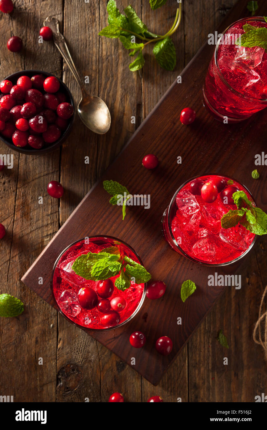 Hausgemachte versoffenen Cranberry Cocktail mit Wodka und Minze Stockfoto