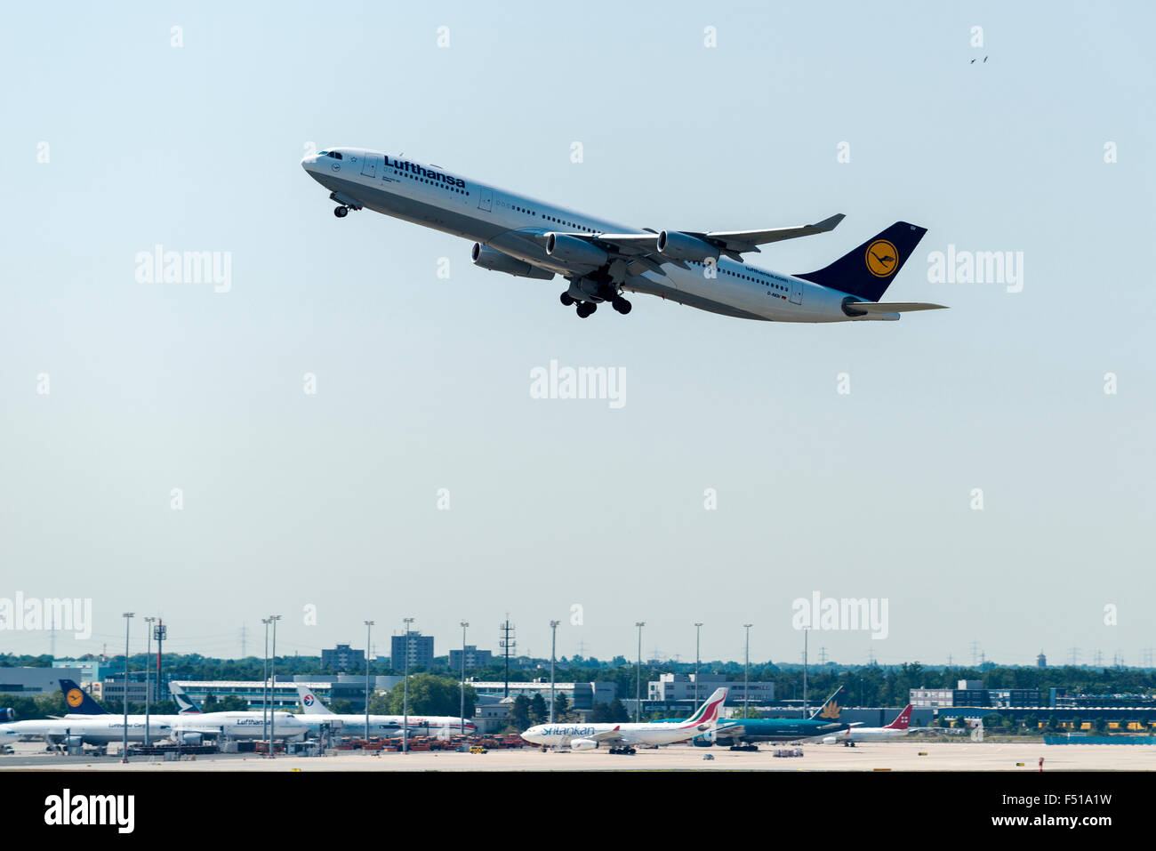 Der Airbus A340-300 Dinslaken der Lufthansa ist am Flughafen Frankfurt nehmen, einige mehr Flugzeuge ar Stockfoto
