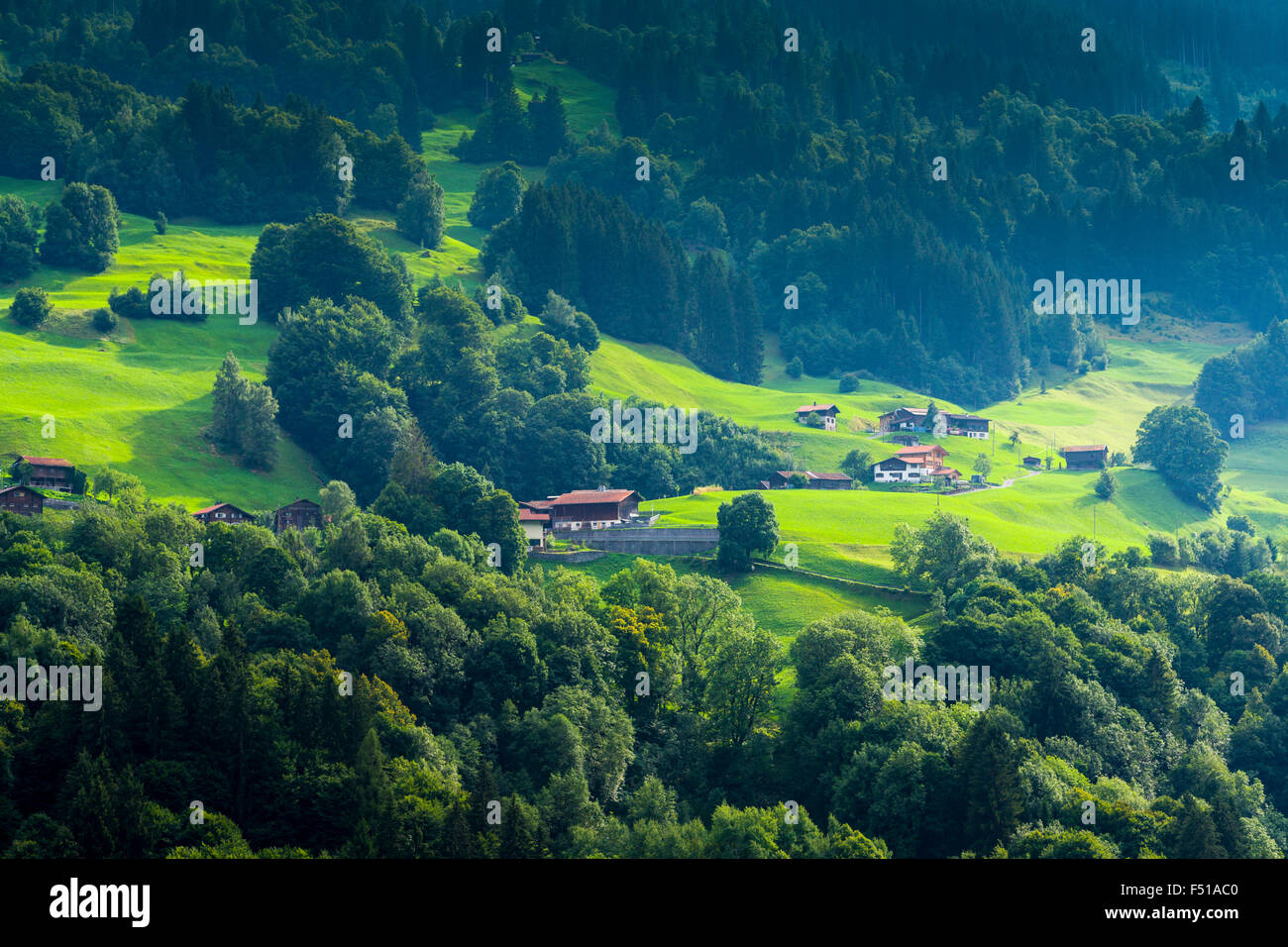 Einige Bauern Häuser sind in hügeligen grünen Feldern gelegen, von Wald umgeben Stockfoto