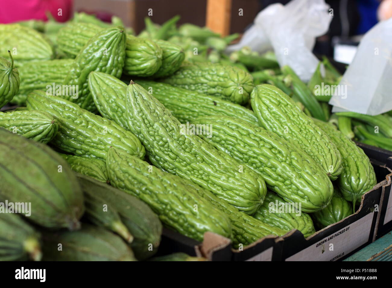 Momordica Charantia oder auch bekannt als bittere Melone, Bittermelone oder bitterer Kürbis Stockfoto